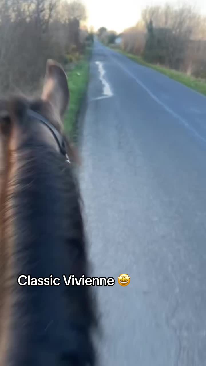 @Dara Conlon 🇮🇪