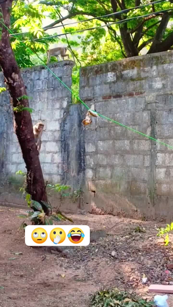 @🕳️👉🏾 NUWAN 🗽🤠