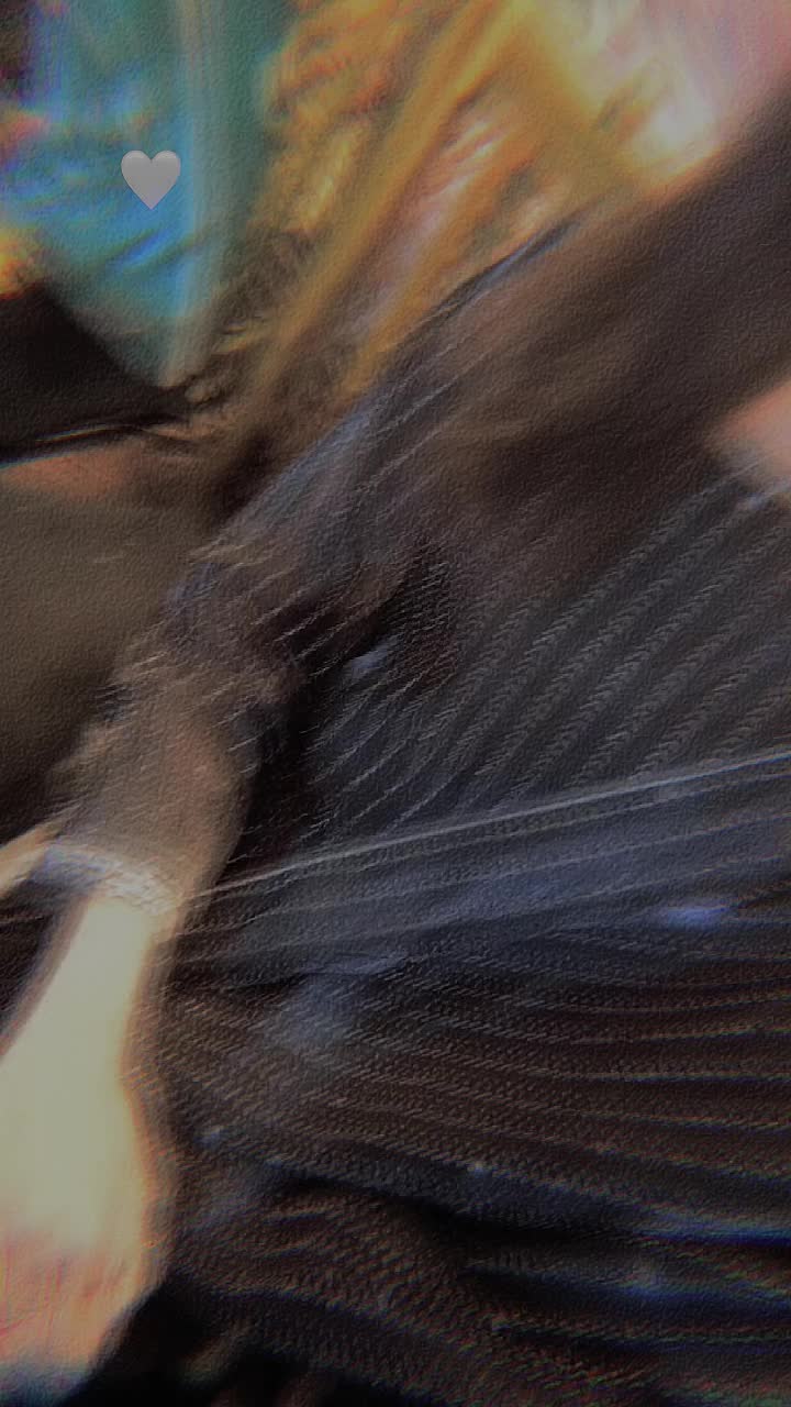 @🕊❀*𝐒𝐎𝐍𝐈𝐀*❀🕊