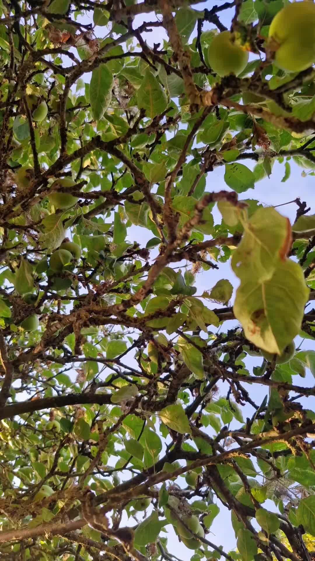 @beauty🇯🇲