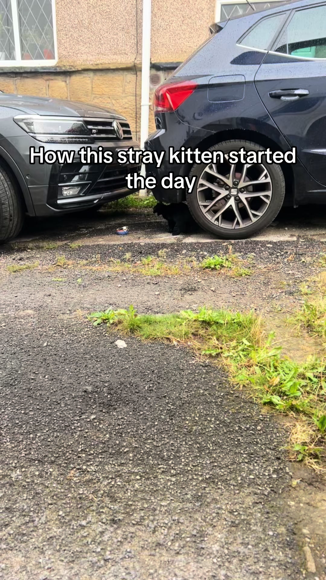 @aminahxarts🇵🇸🇵🇰
