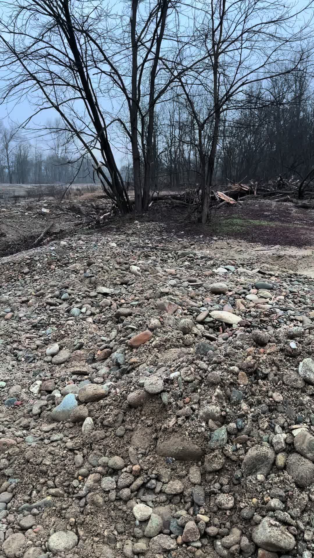 @Aur Gold