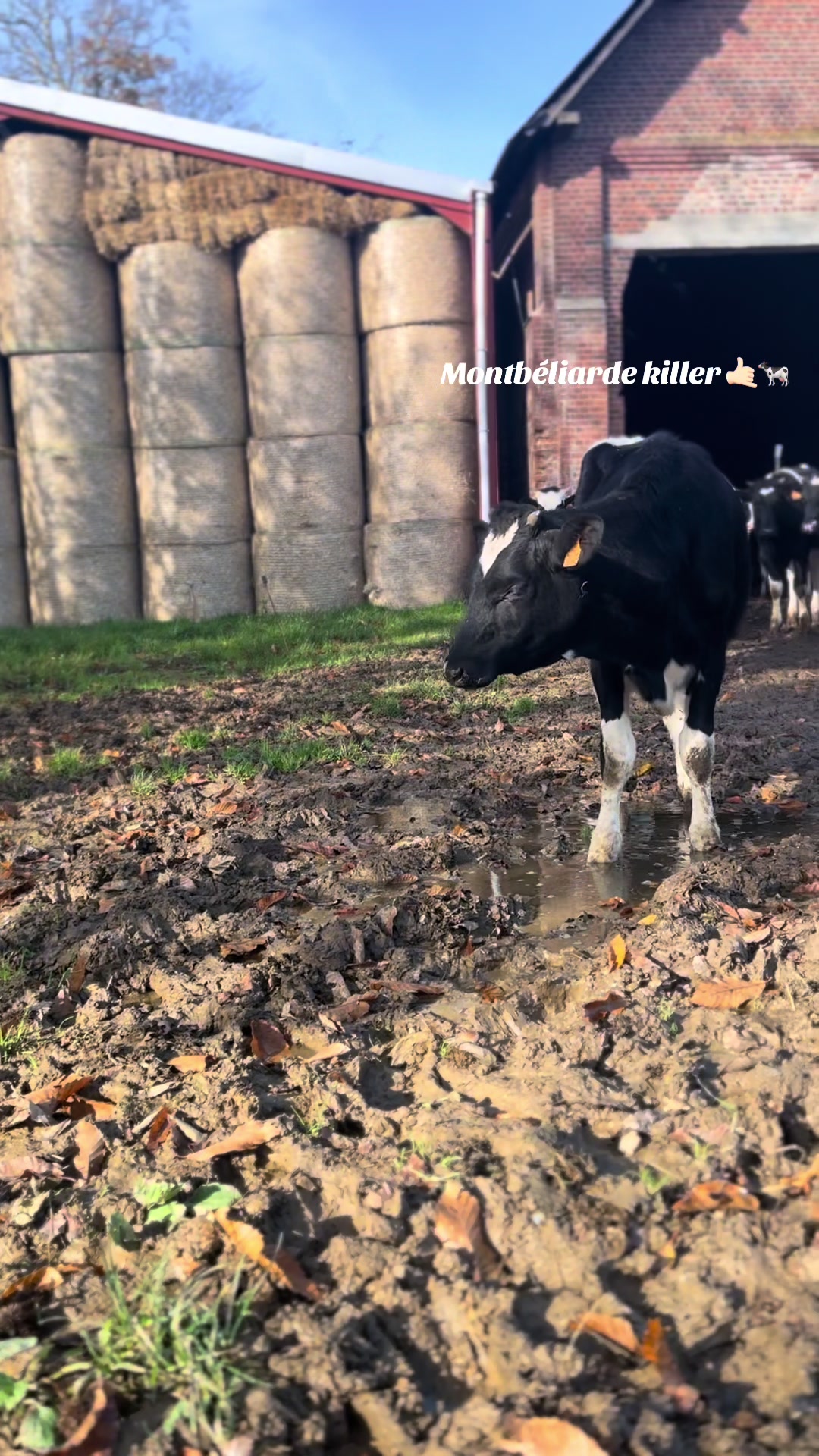 @Océane 🐄🌾