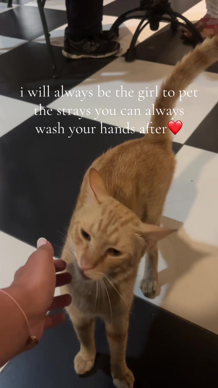@D