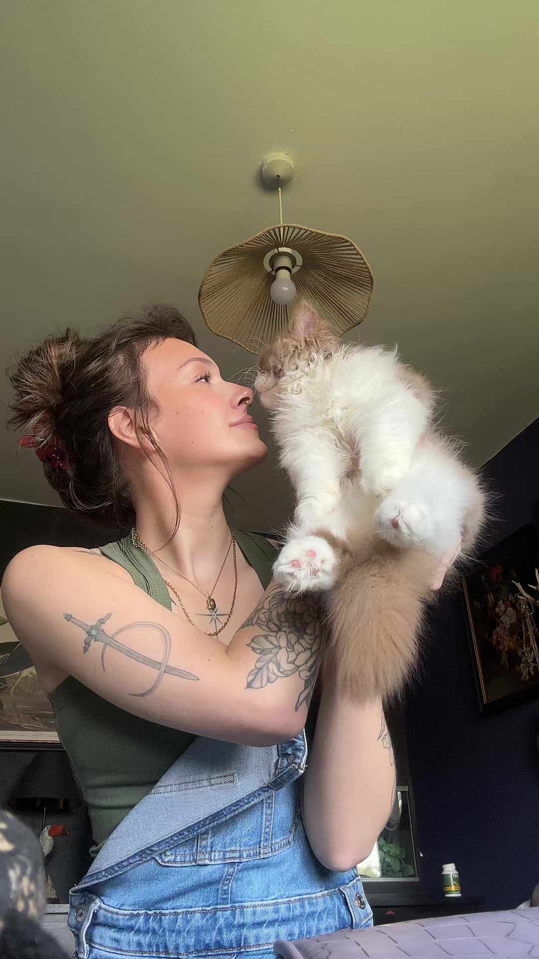 @kitty.catcentral