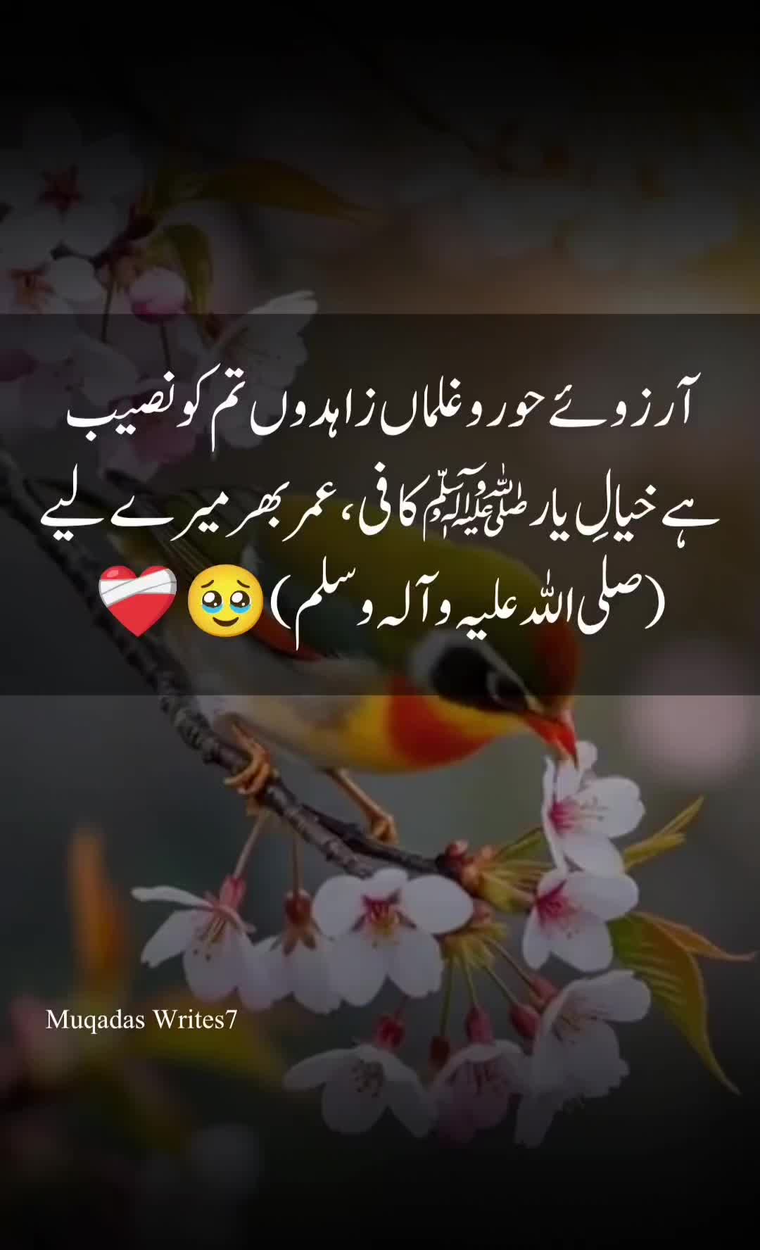 @Muqadas Writes