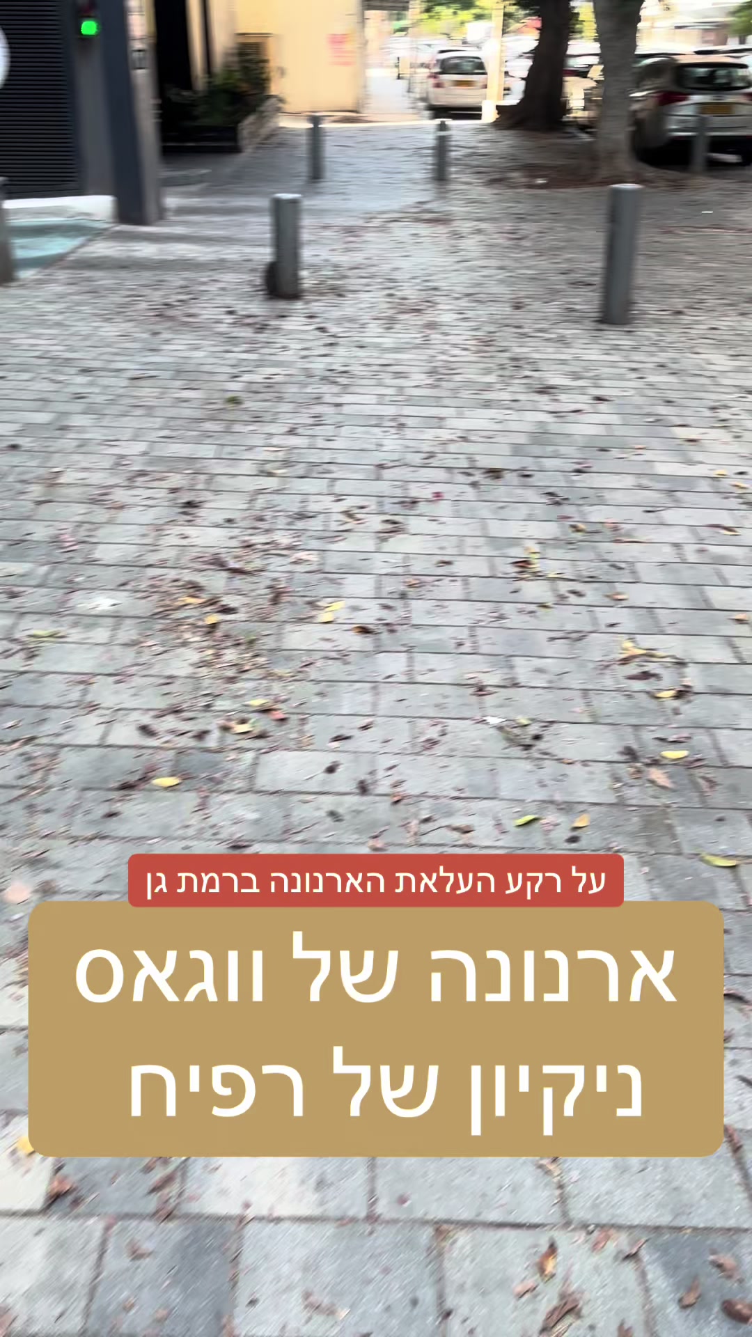 @גל חביב | המבקר ברמת גן