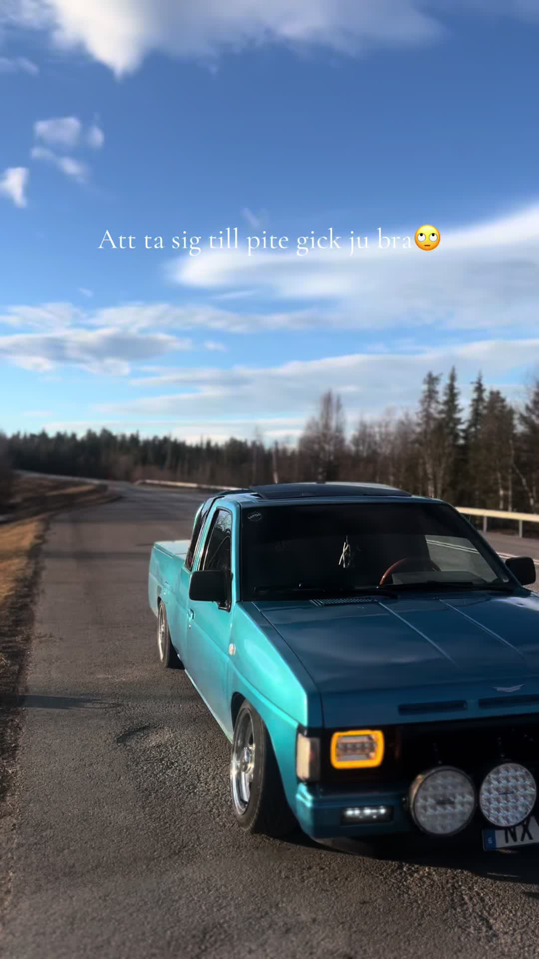 @Thuuris🐏