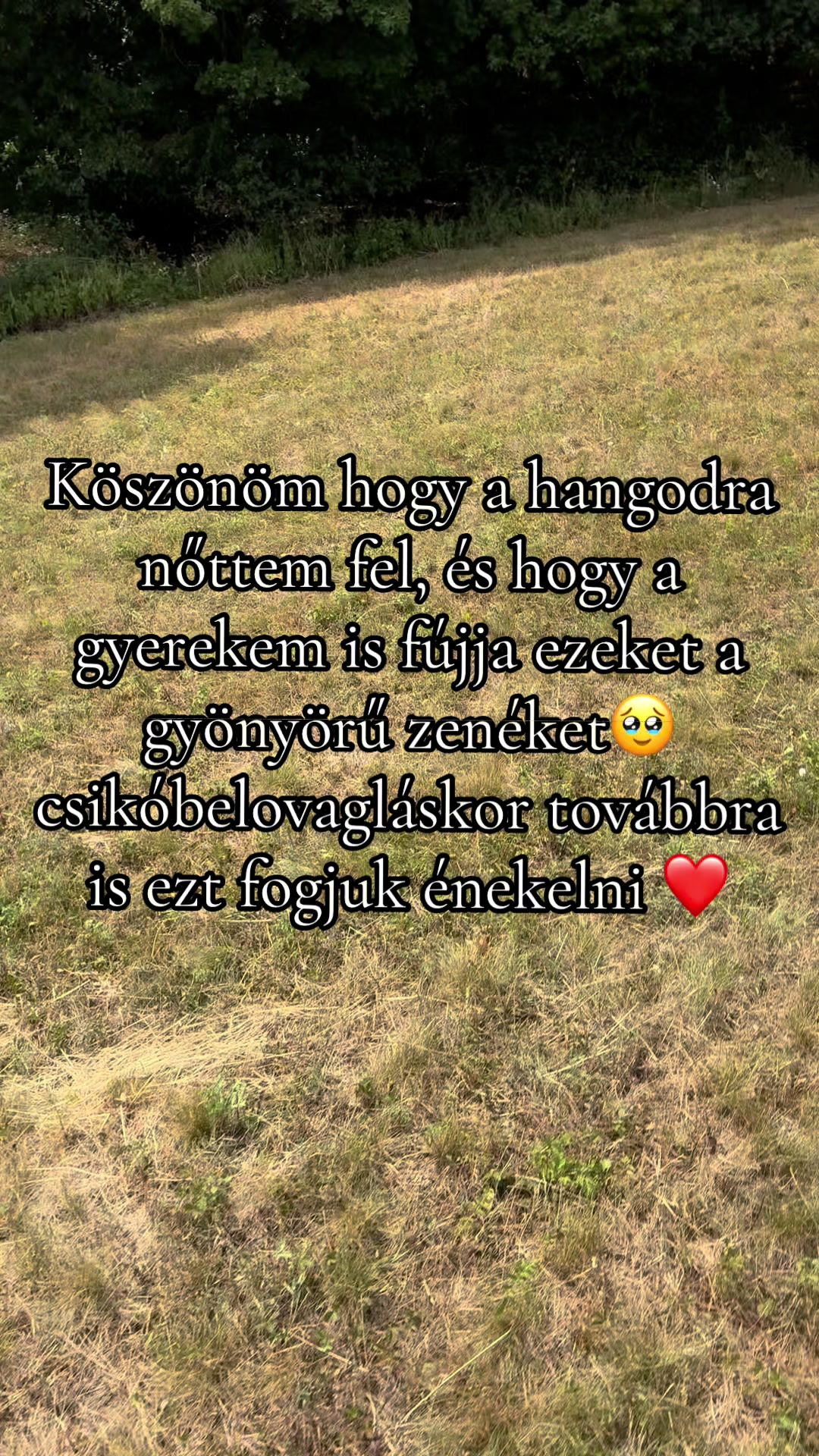 @Melinda Vaczula