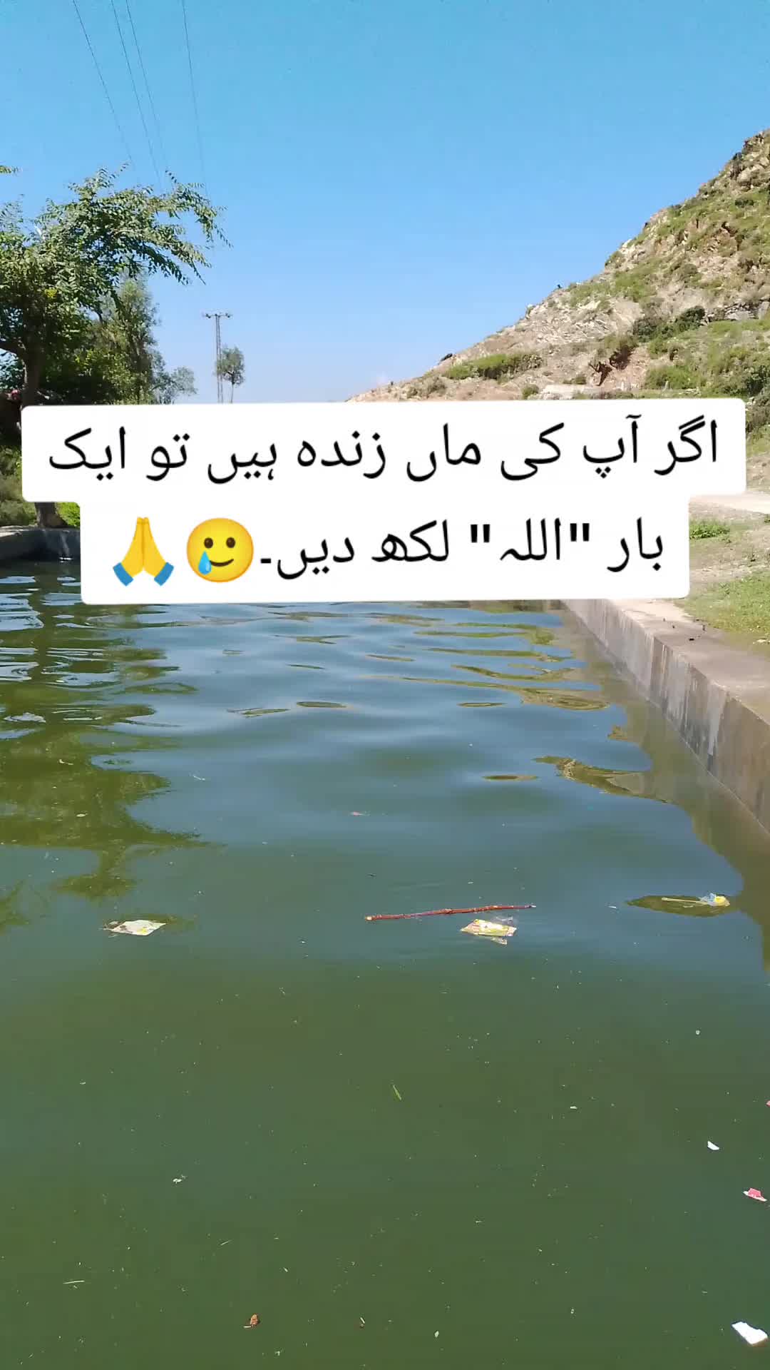 @𝗜𝗦𝗟𝗔𝗠𝗜𝗖 𝗩𝗜𝗕𝗘𝗦 ✅