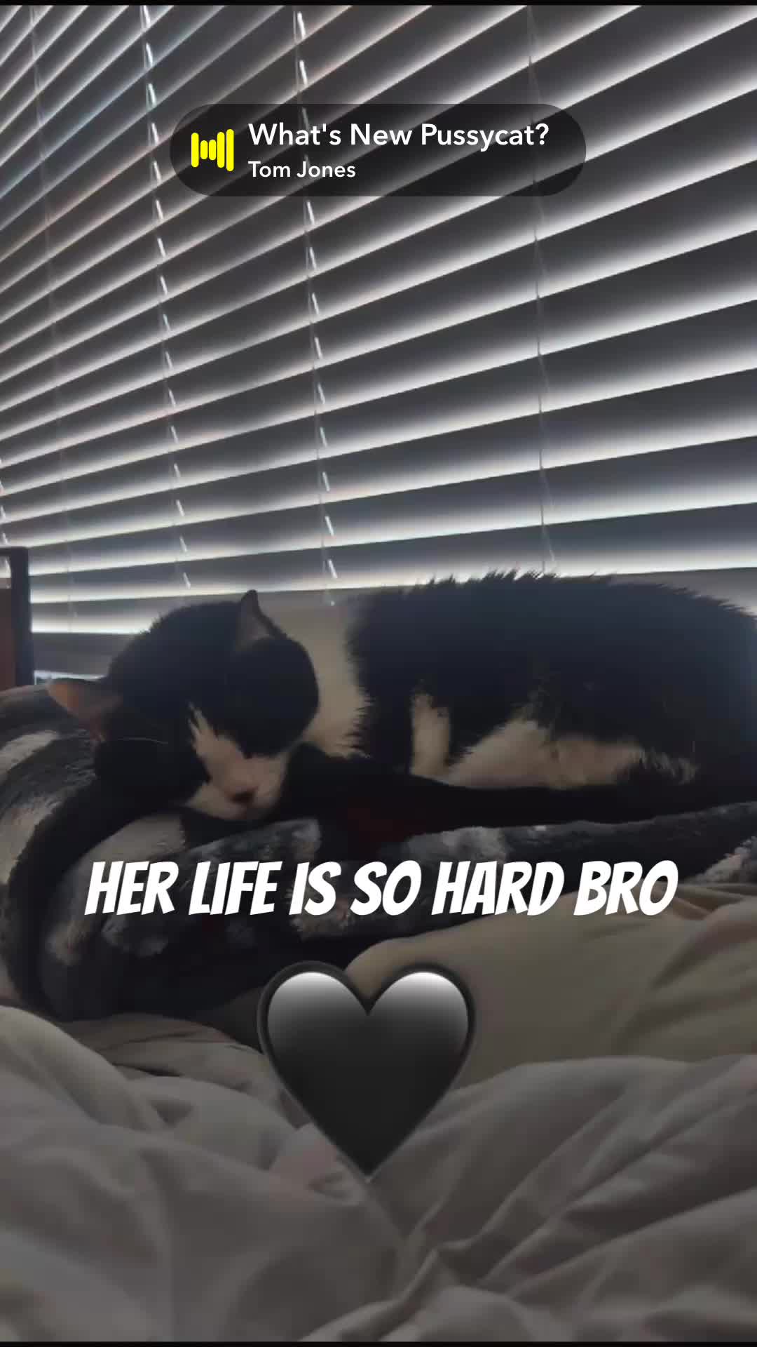 @the_nuffin_man_