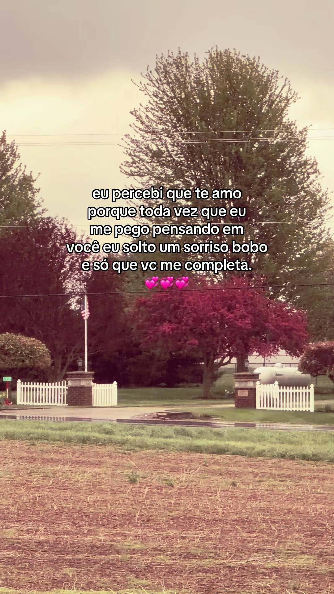 @𝗿𝗼𝗿𝗶𝗰𝗹𝗲𝘆