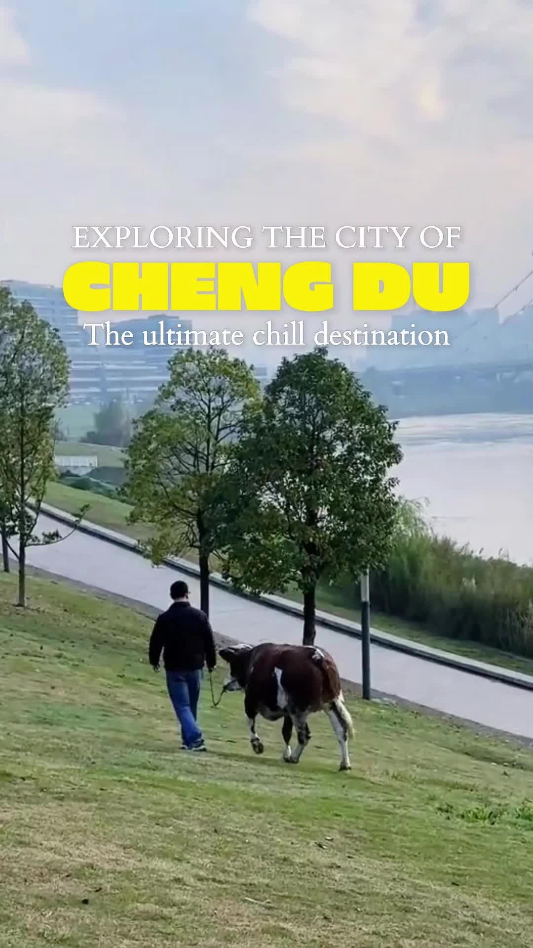@youyouxing.travel