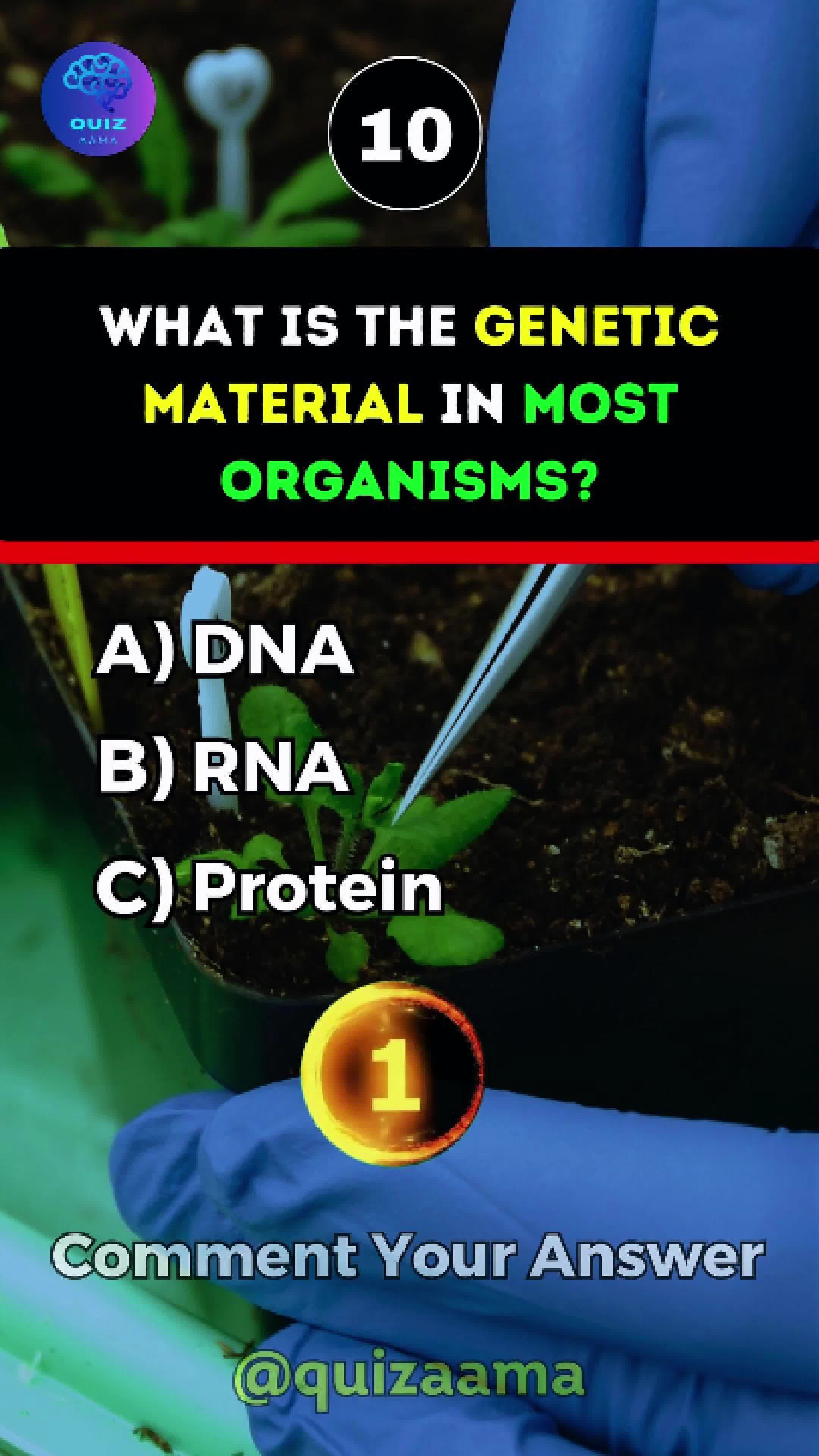 @Quiz Aama