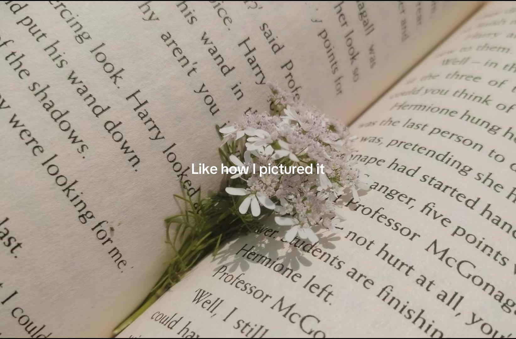 @𝐴𝑛𝑥𝑔𝑒𝑙༄