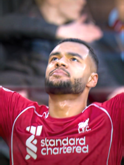 @Tefo.lfc2