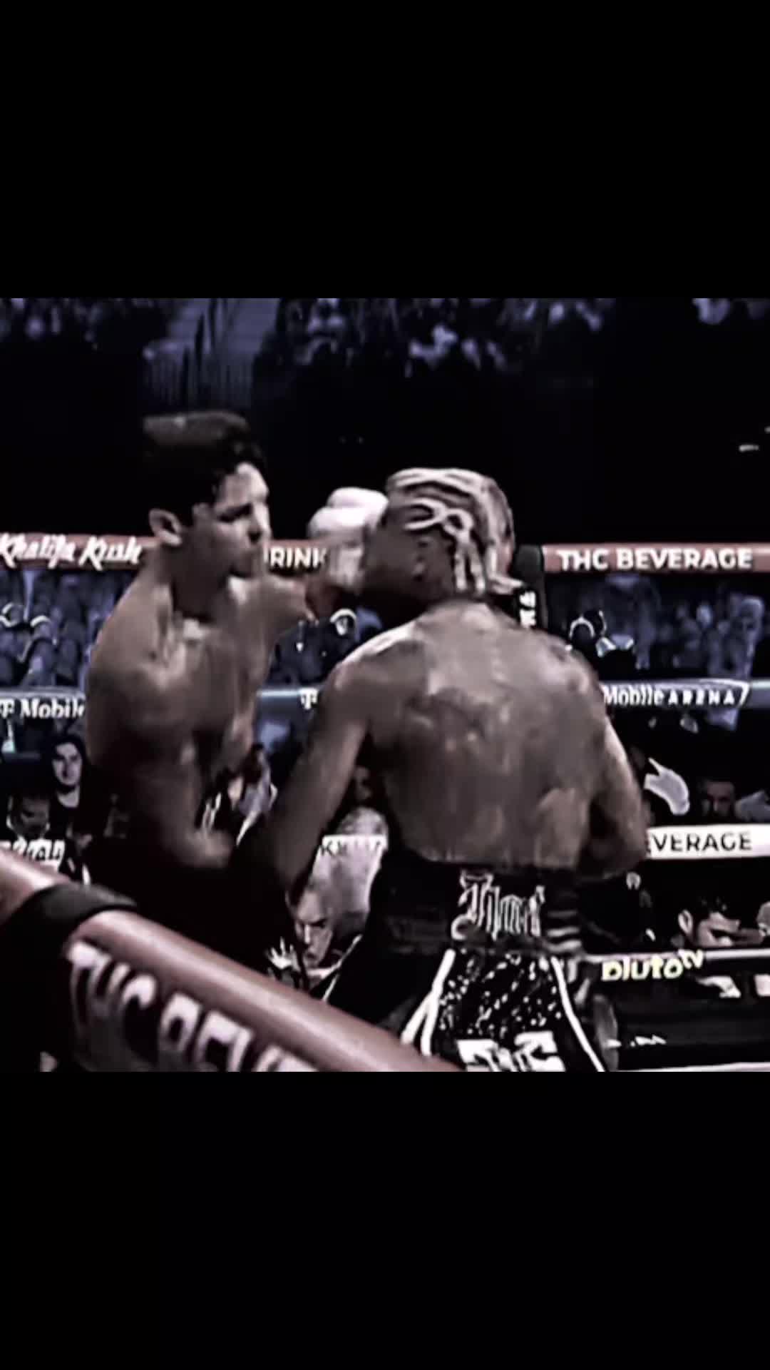 @BoxVision