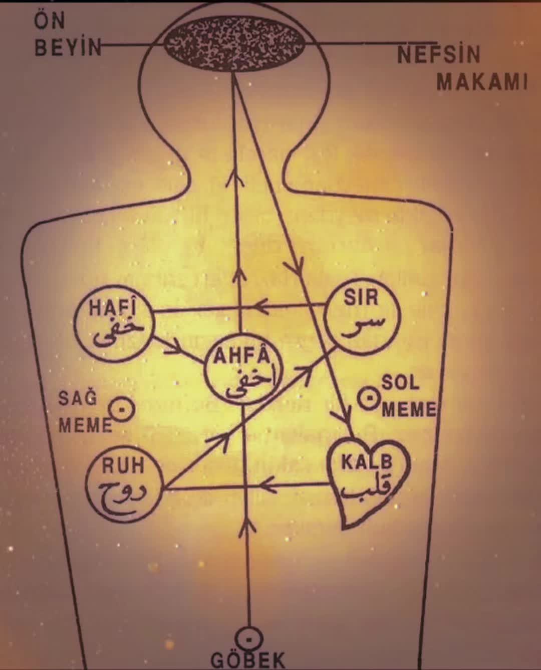 @๐ ๐ฎ๐๐๐๐ ะัะดะถะฐั ๐