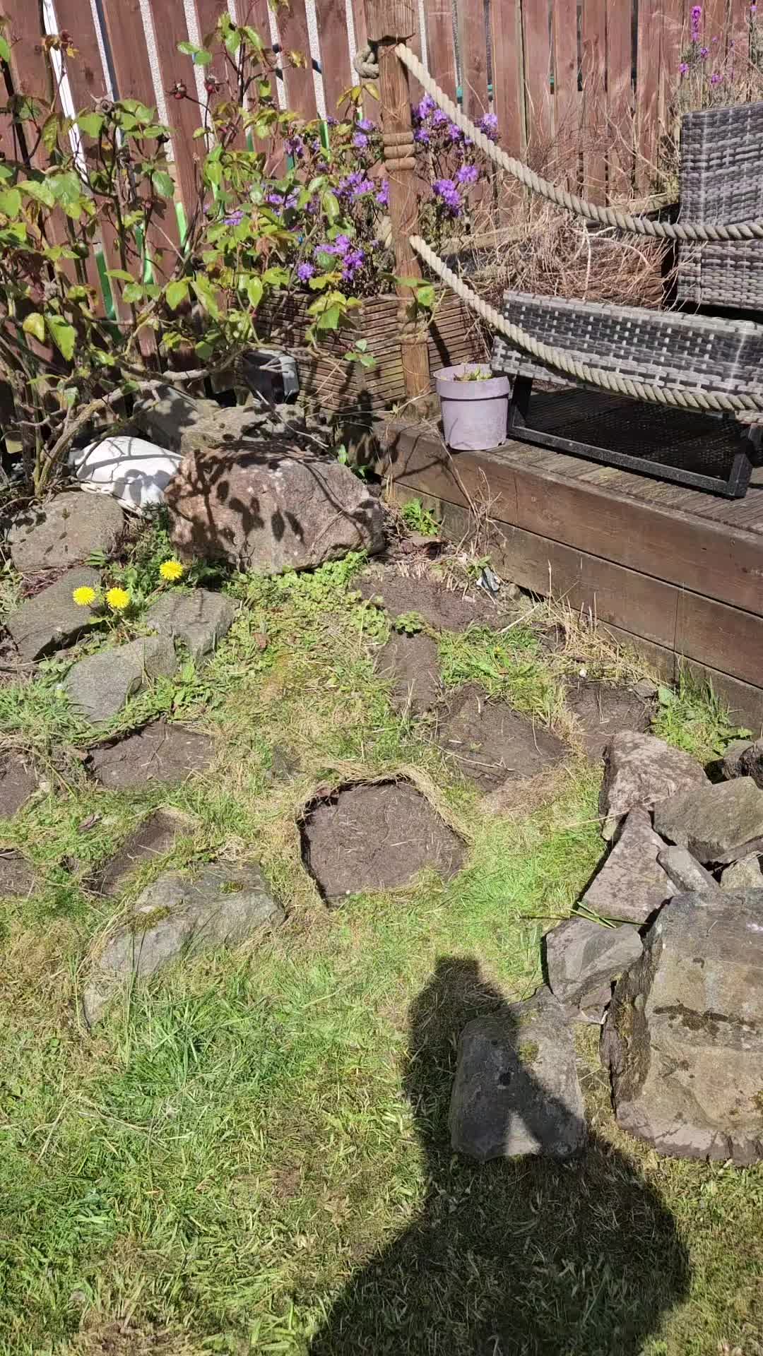 @Glasgow_Tree_Care