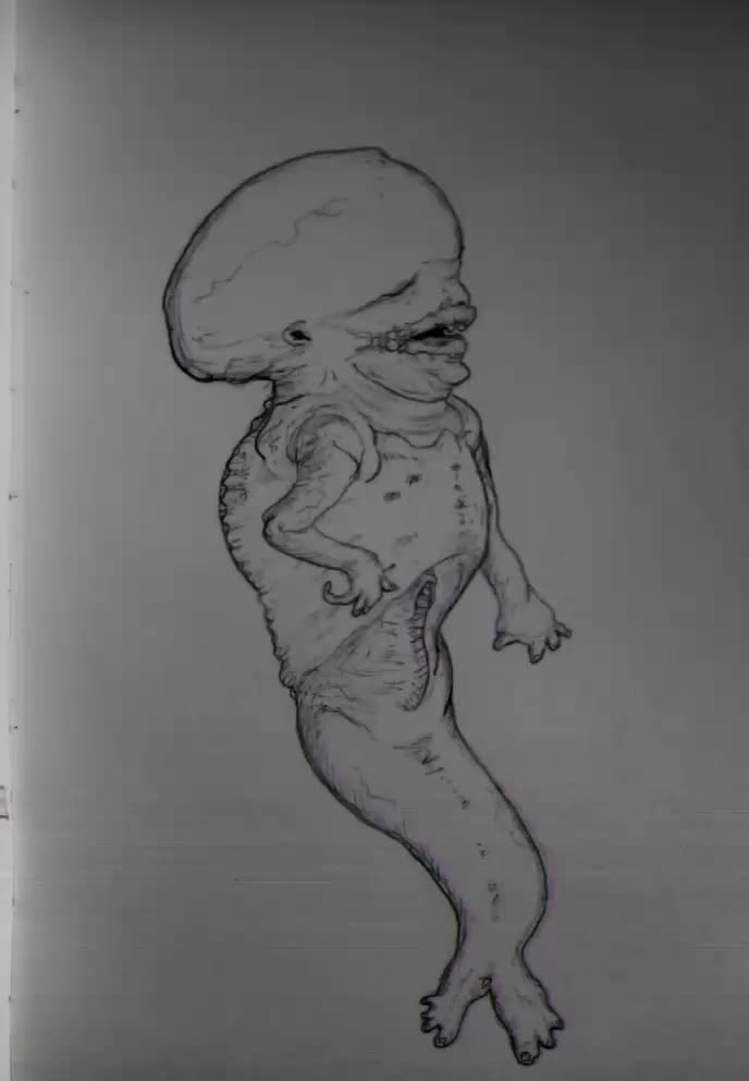 @UTERO