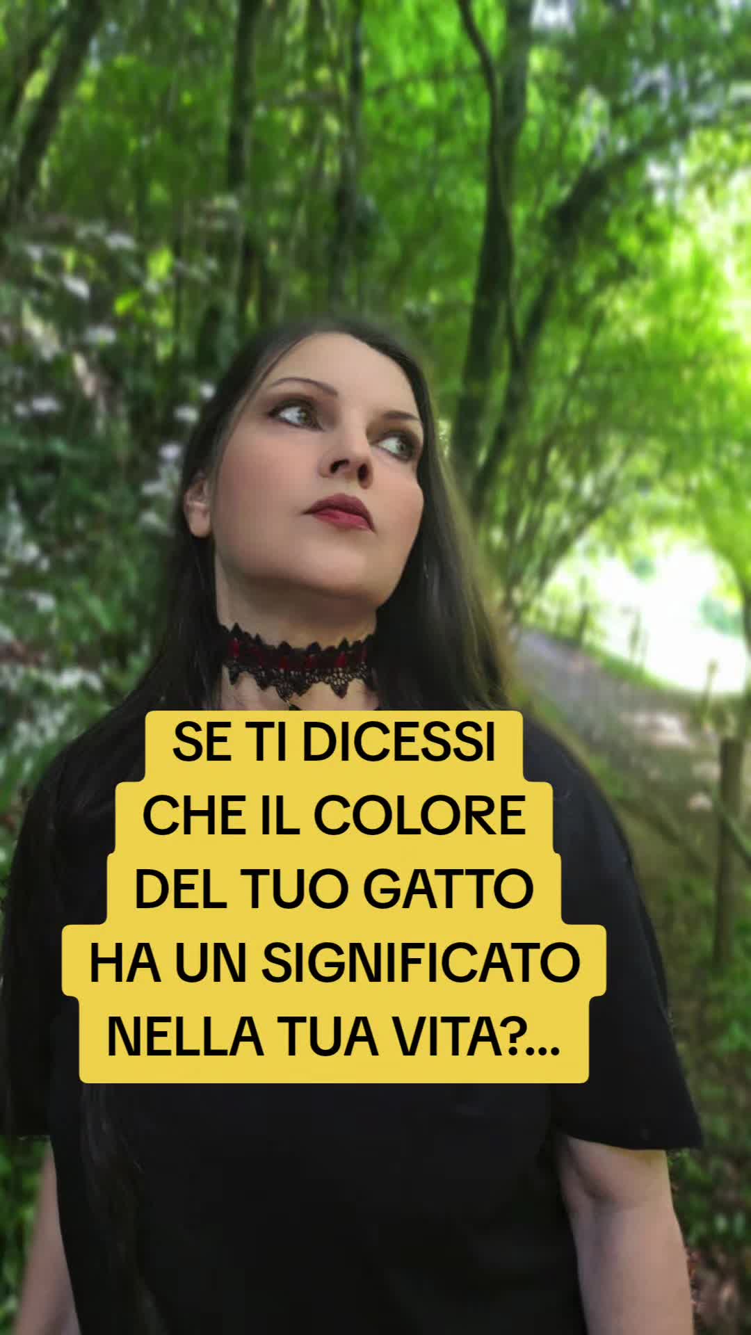 @Monya Foderá