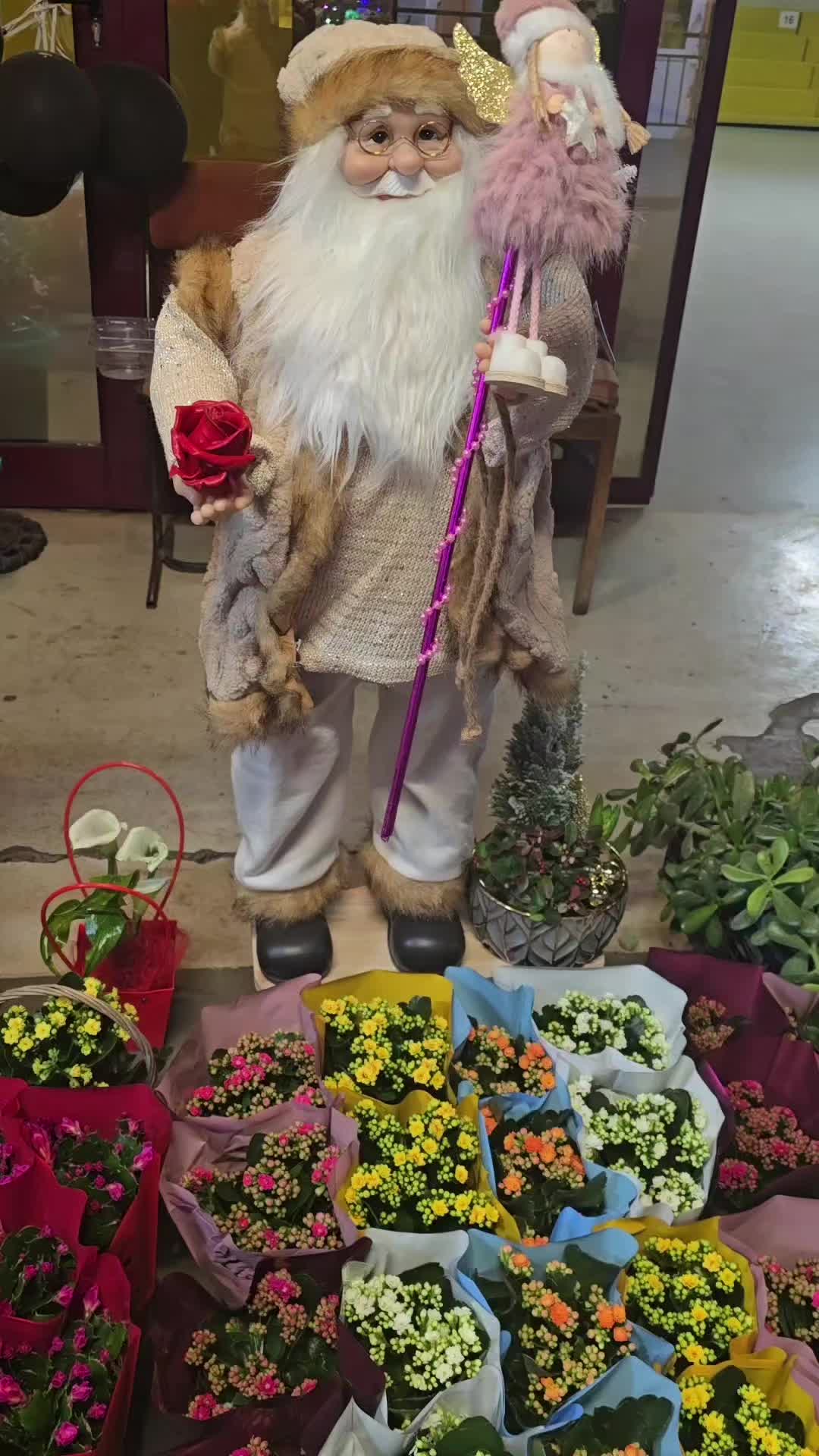 @Claudia Moldovan🌹🌴💐🪴🌷🪻🌻