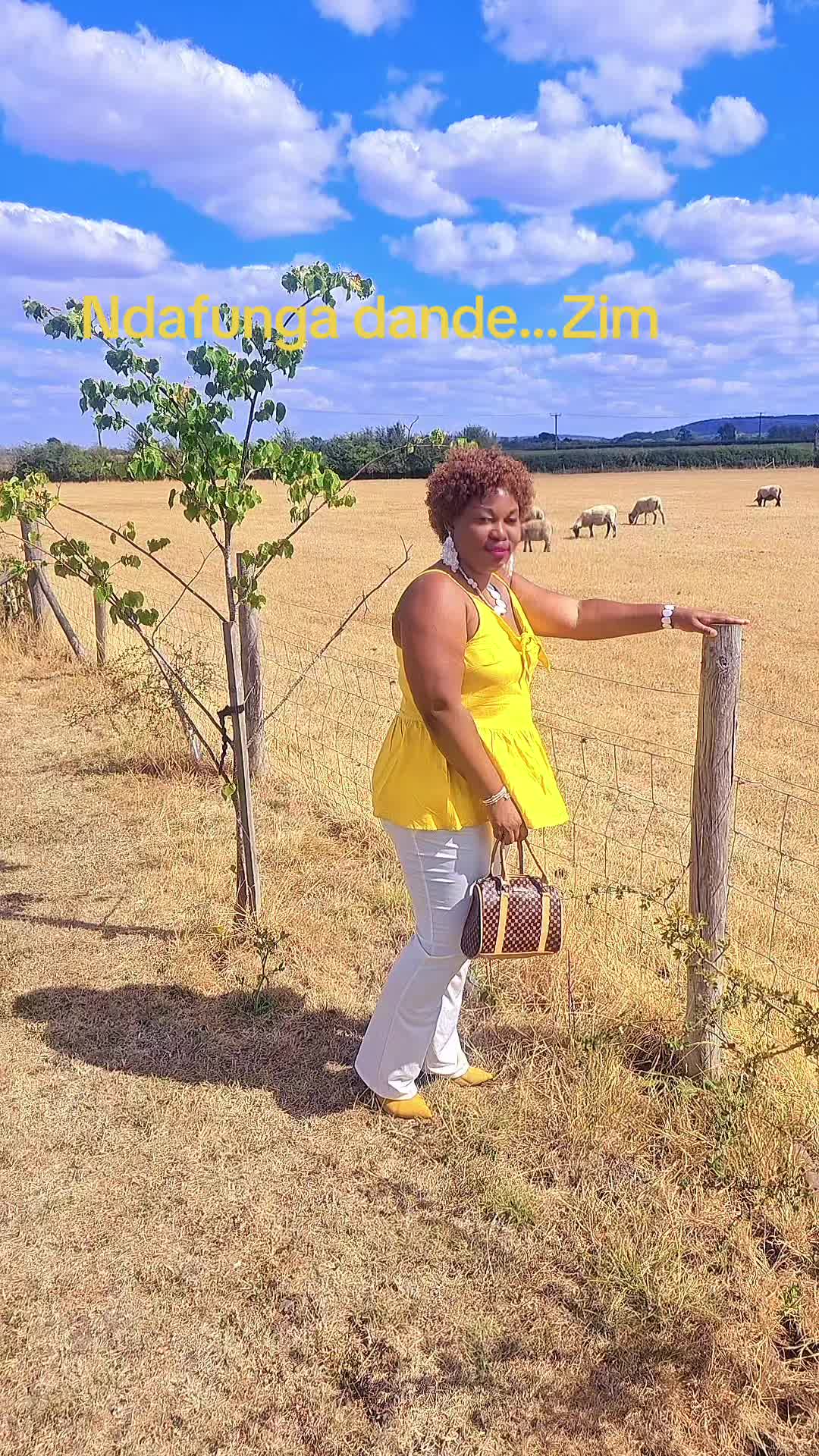 @Pamilly