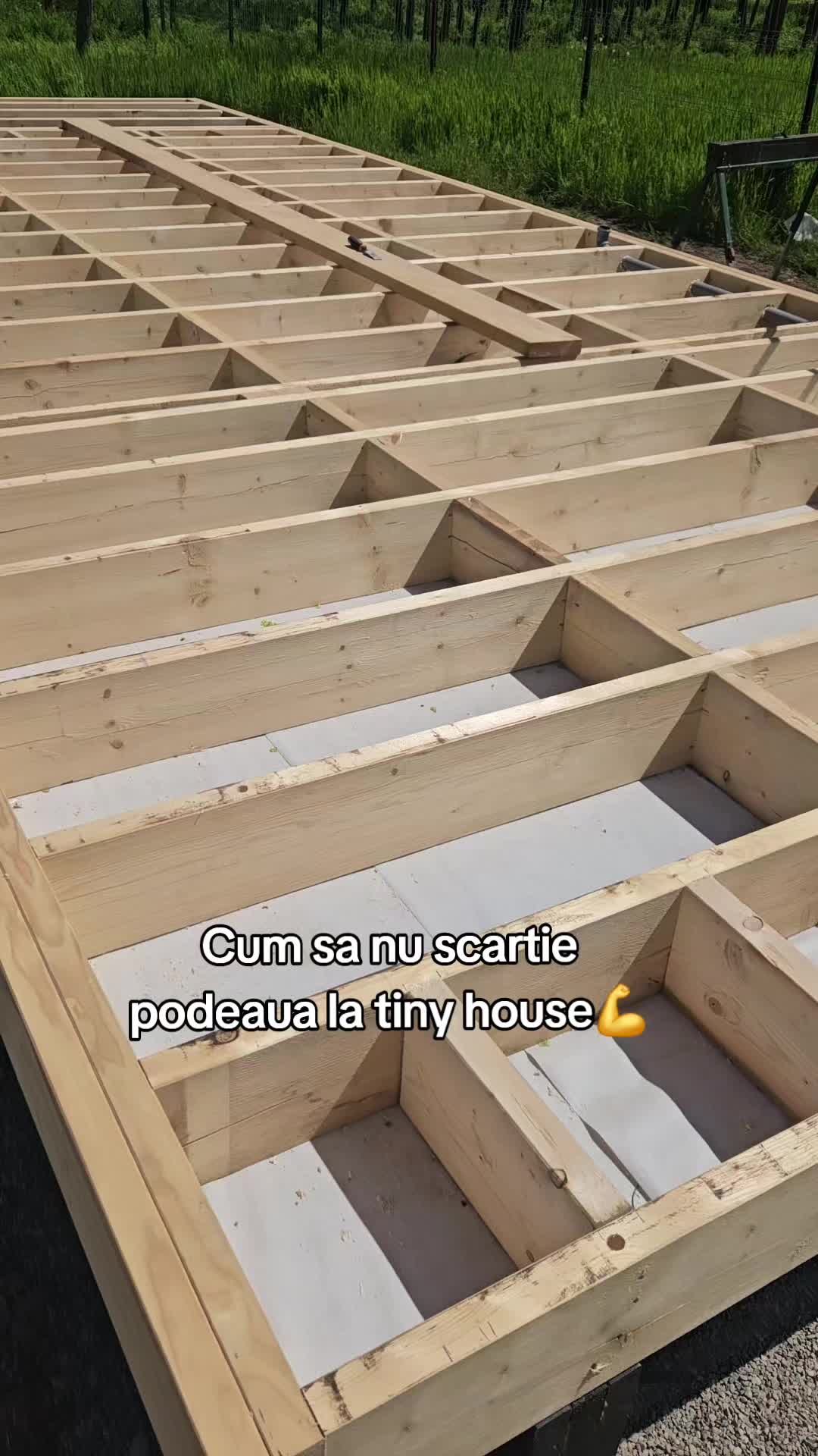 @Fratii Rumegus