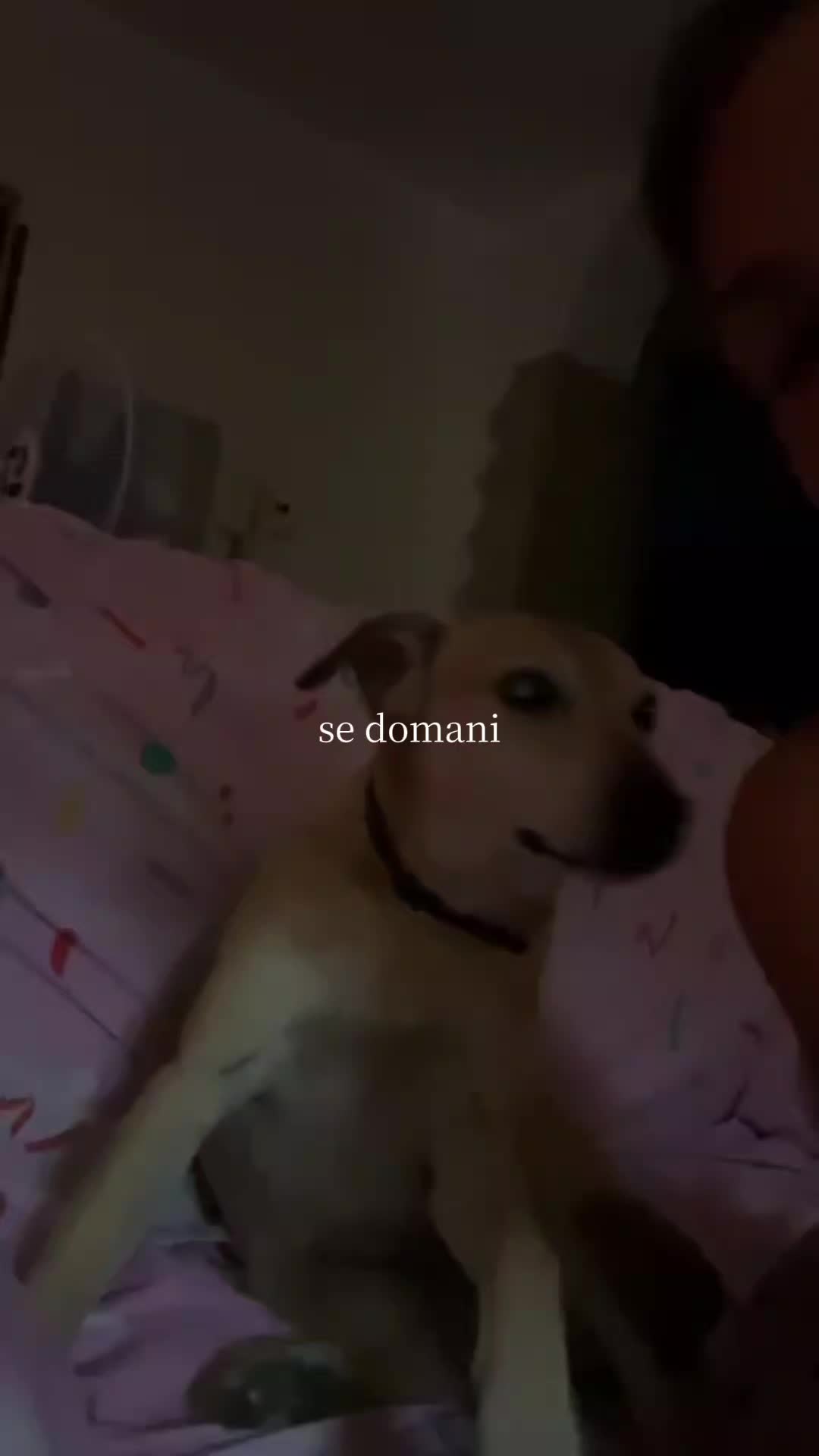@giulia