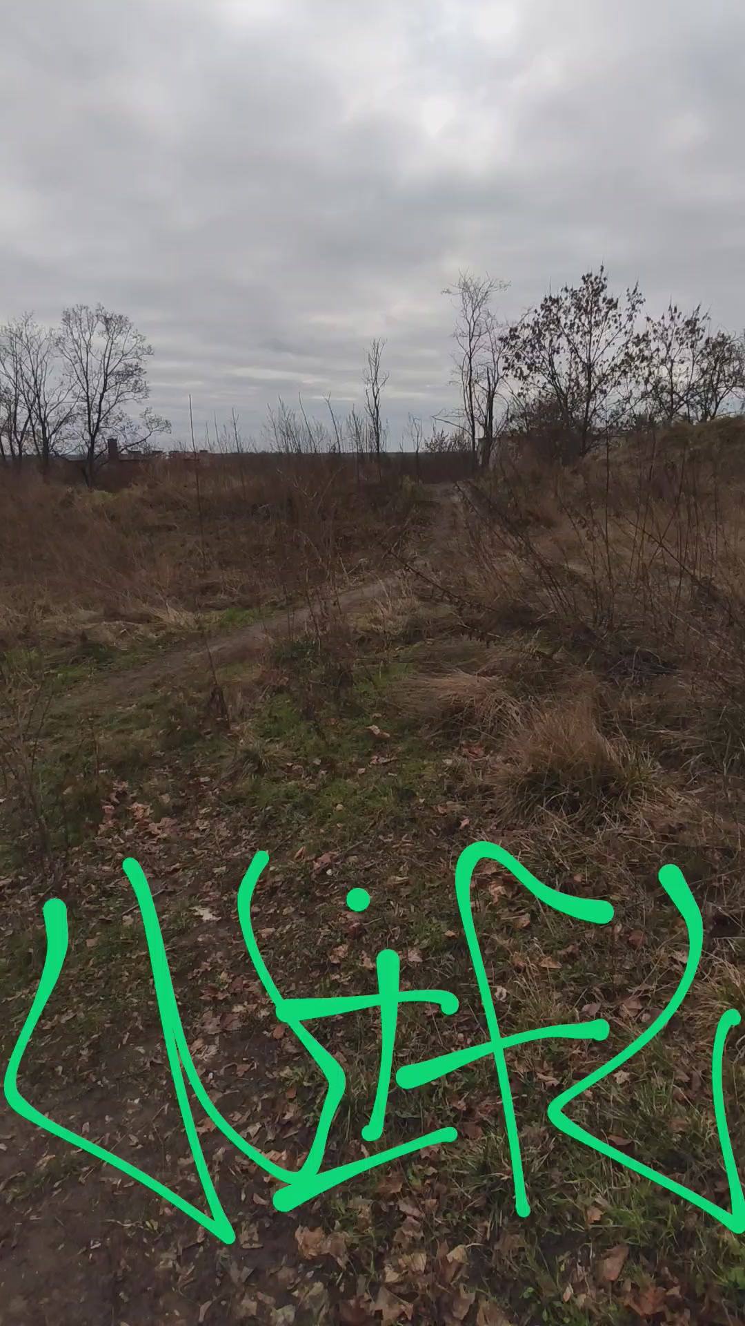@🏃