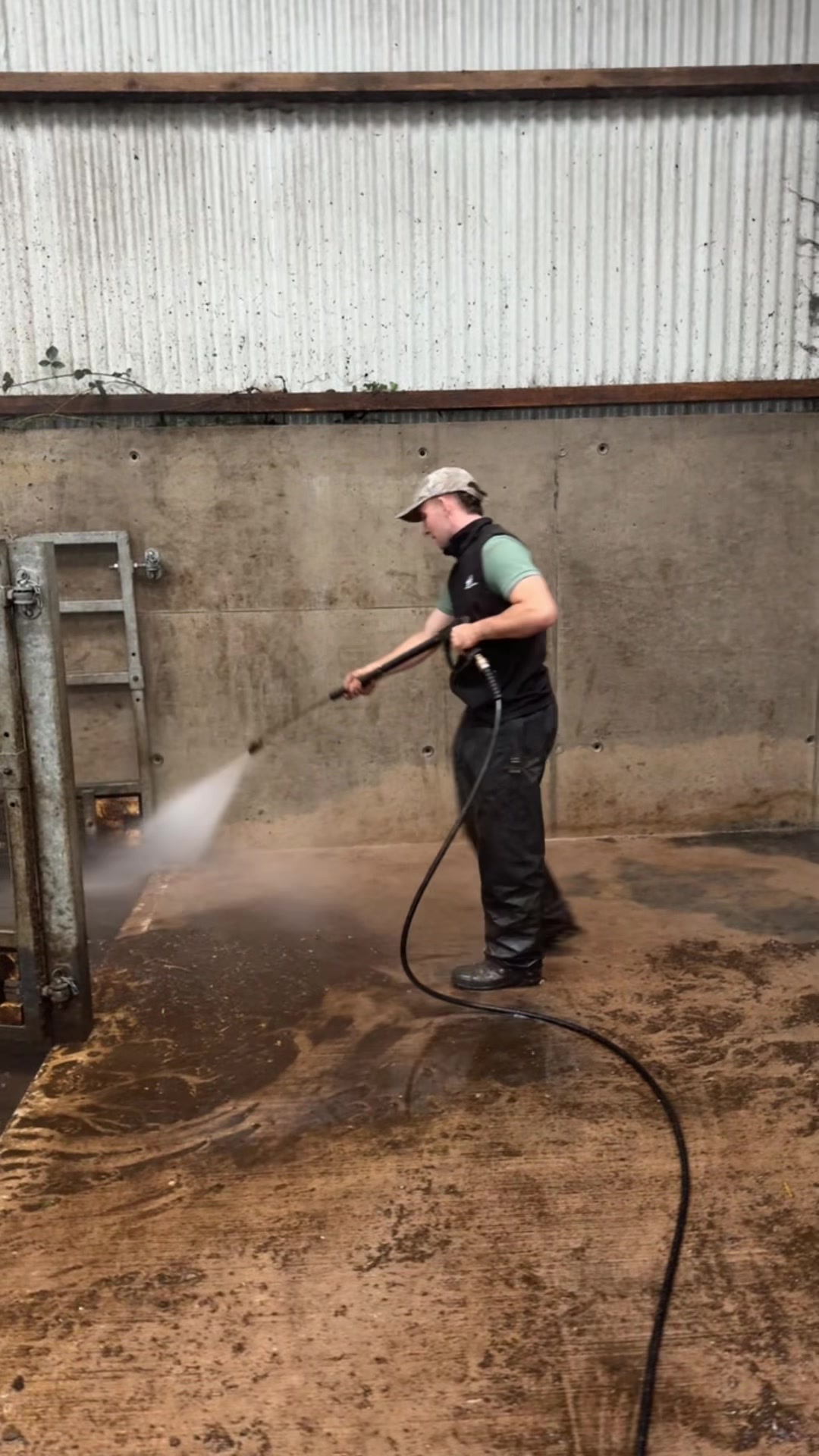 @Carey’s washing services