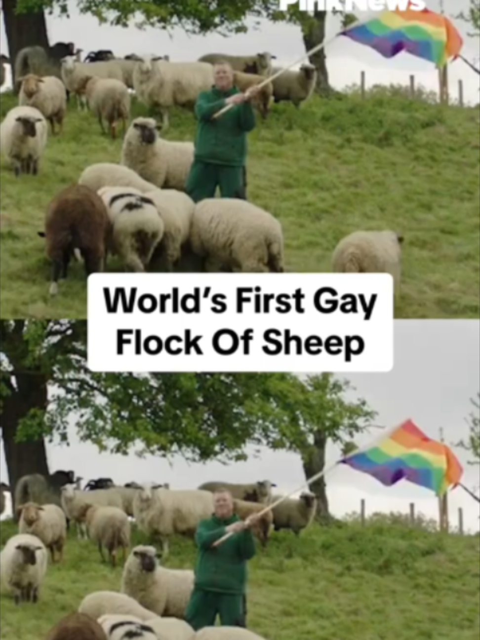 @PinkNews 🏳️🌈🏳️⚧️