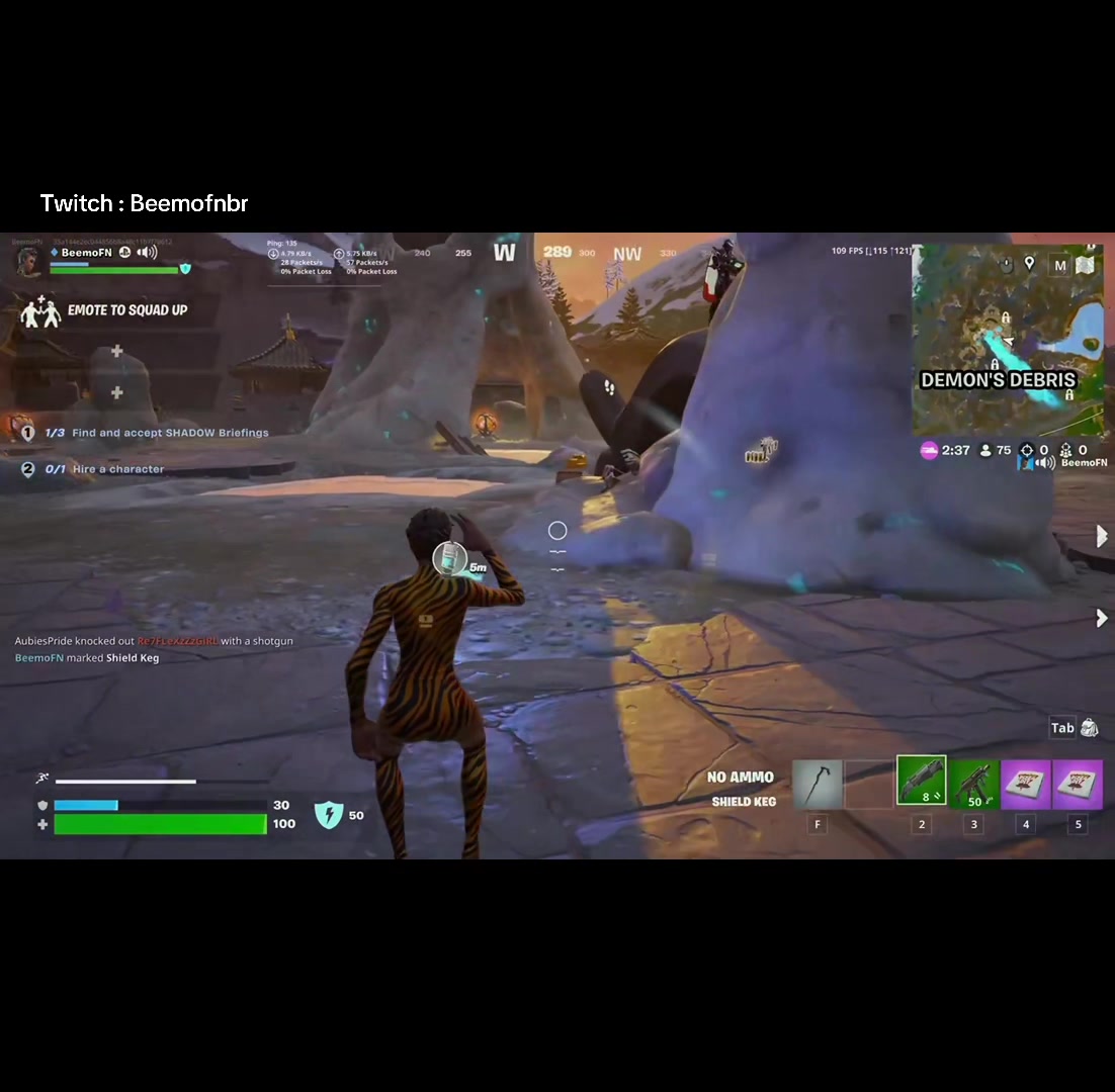 @Twitch Beemofnbr