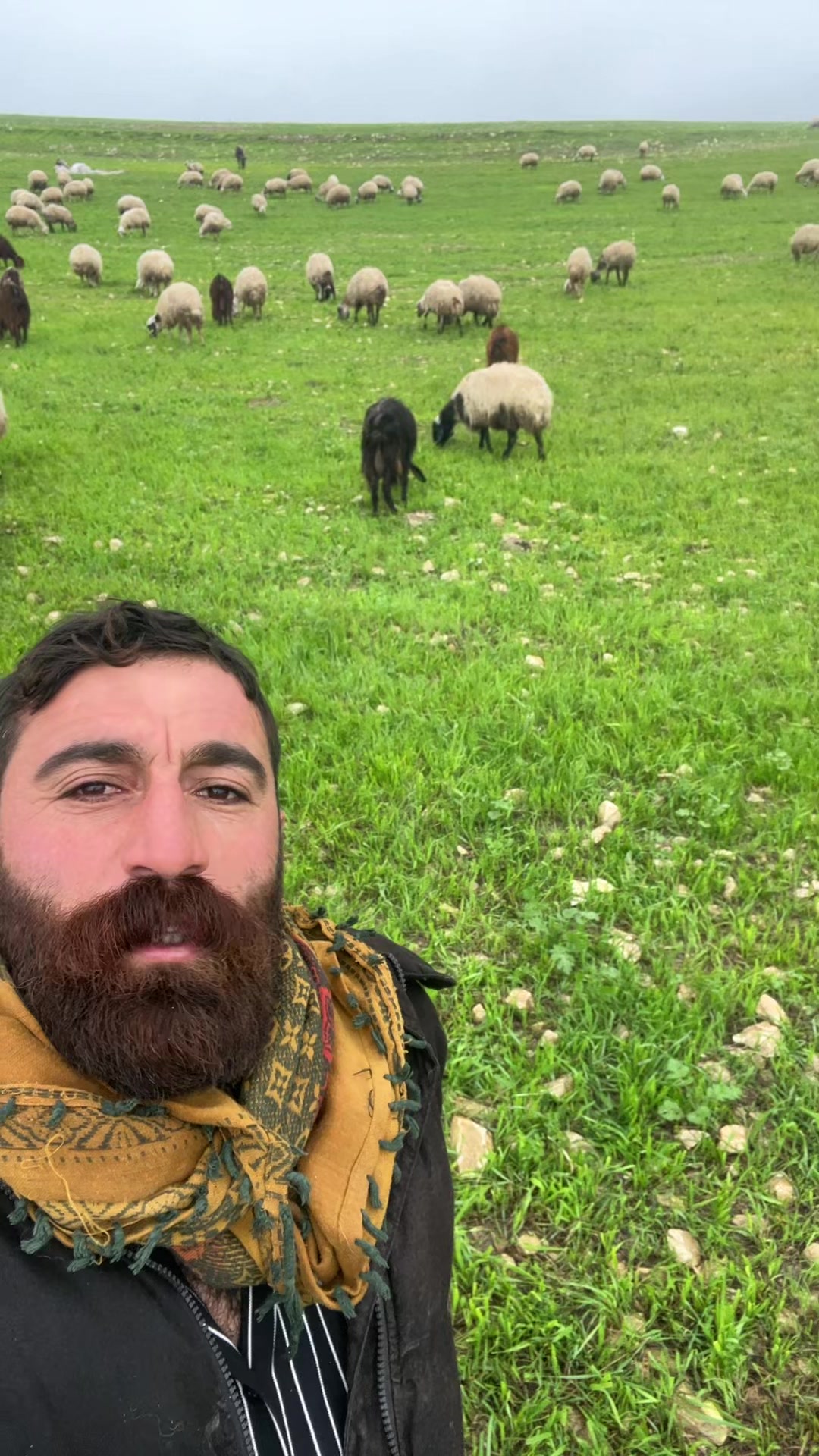 @Welat kırac
