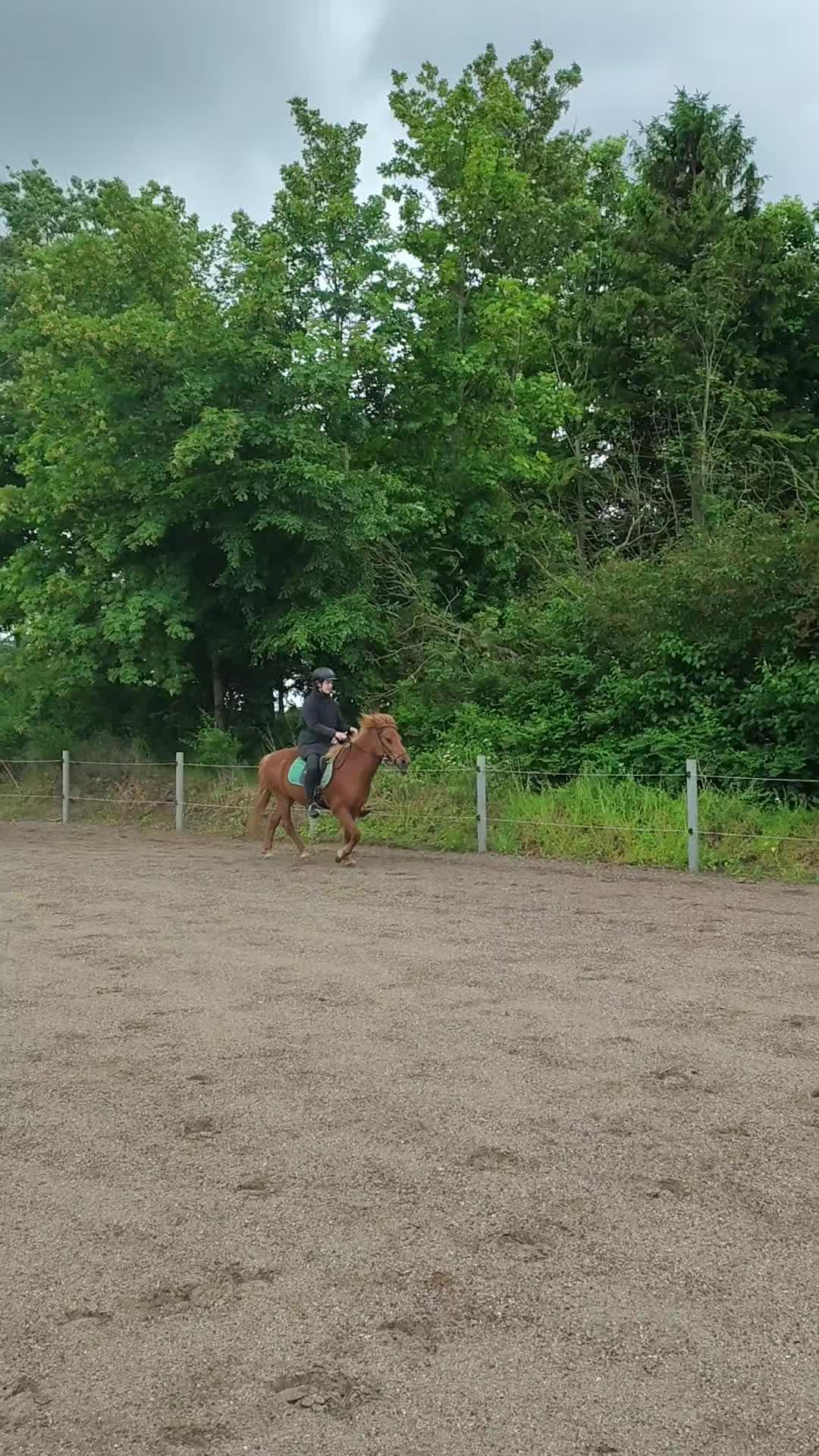 @Equestrian_Dk🇩🇰⊙⊝⊜