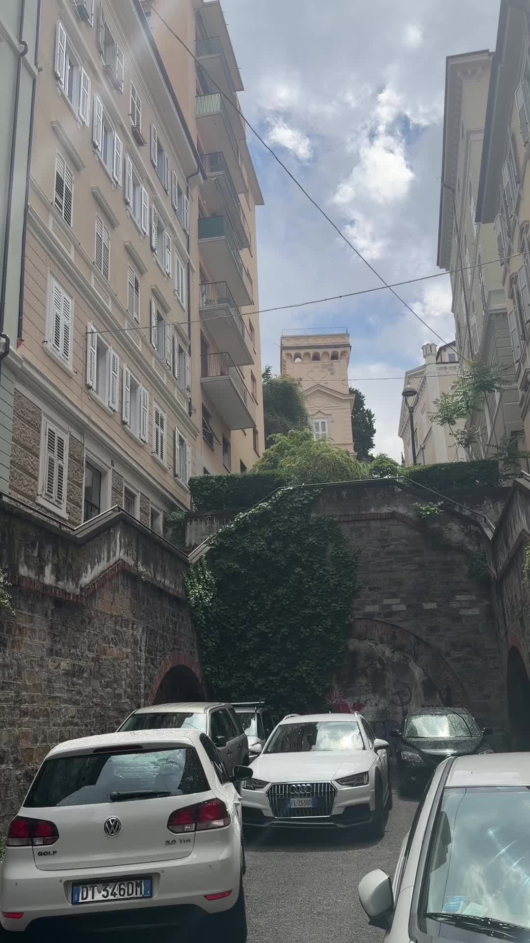@arujxanim