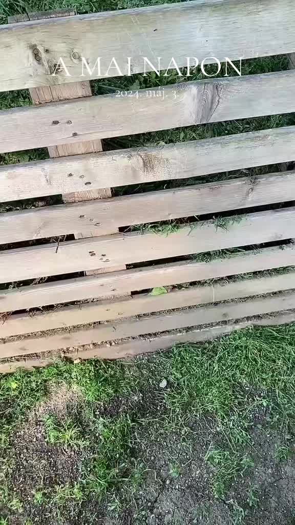 @TerraKert | Ha&aacute;sz-Brandt Di&aacute;na