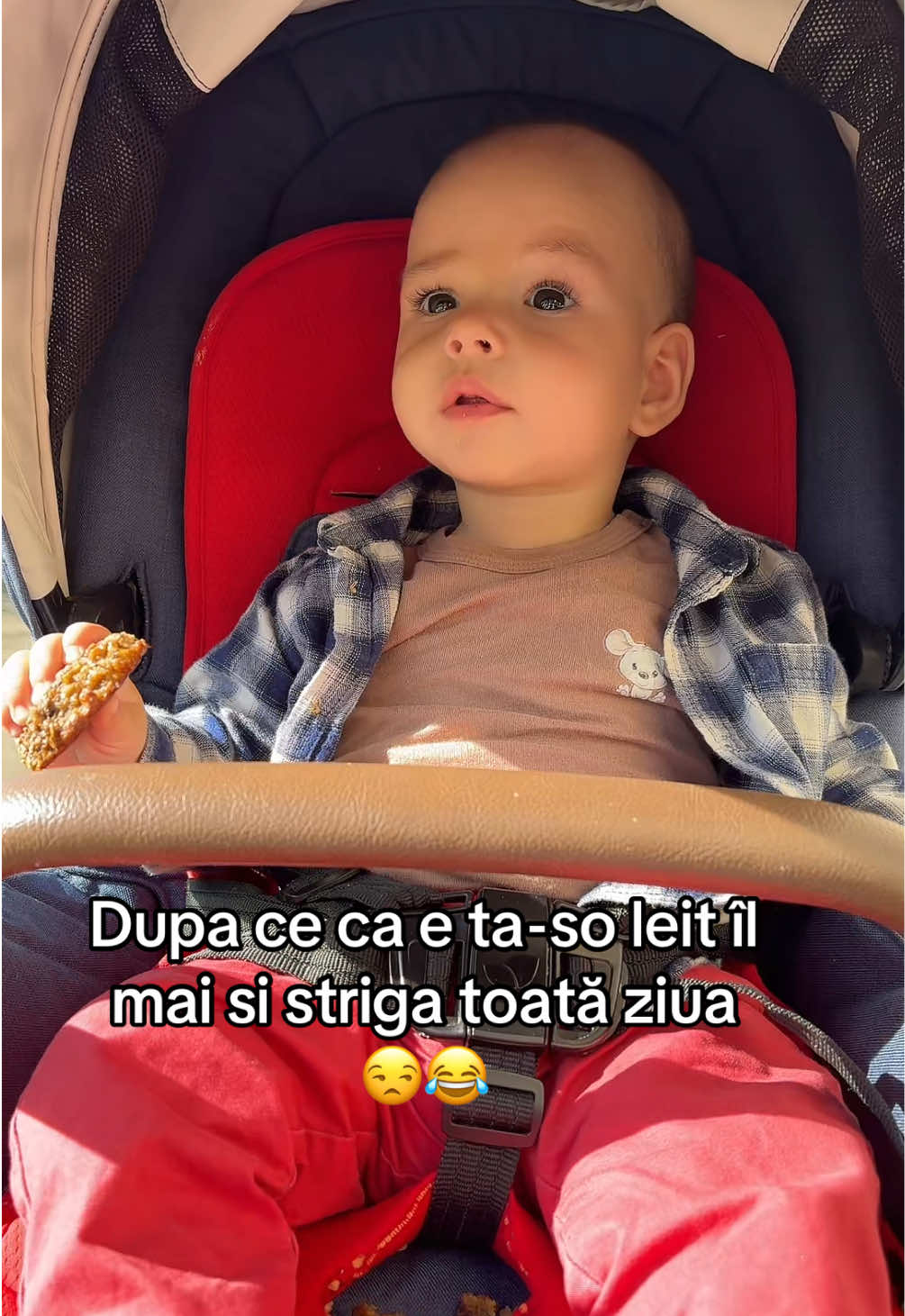 @miha.ela.20.17