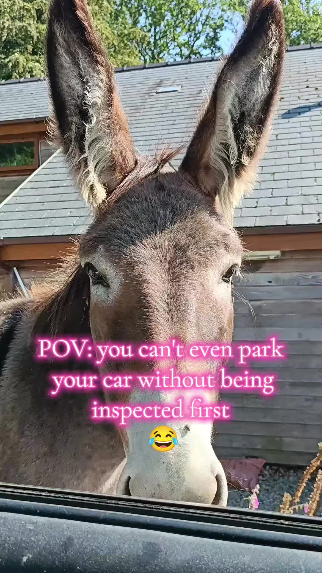 @fieldsforevere42