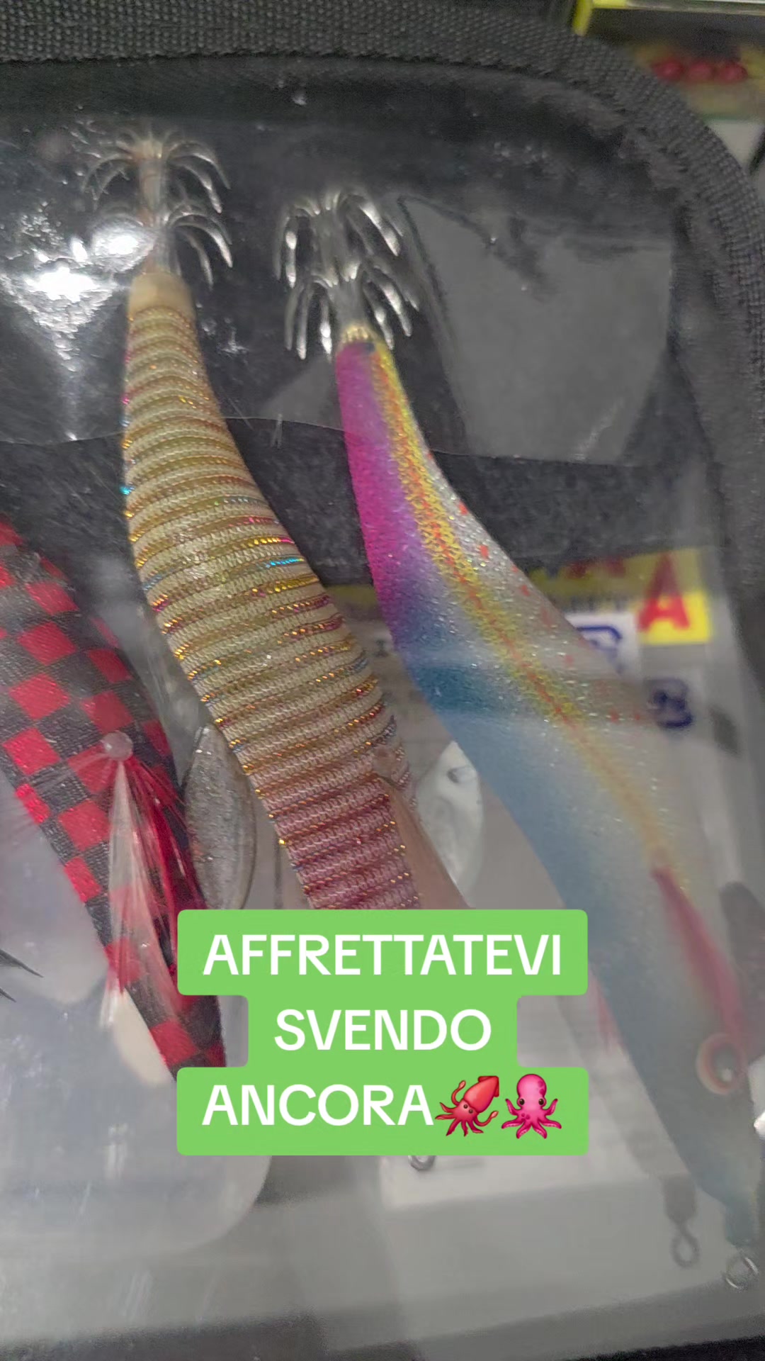 @🦈🎣SCB..RAFFAELE..SCB🎣💚