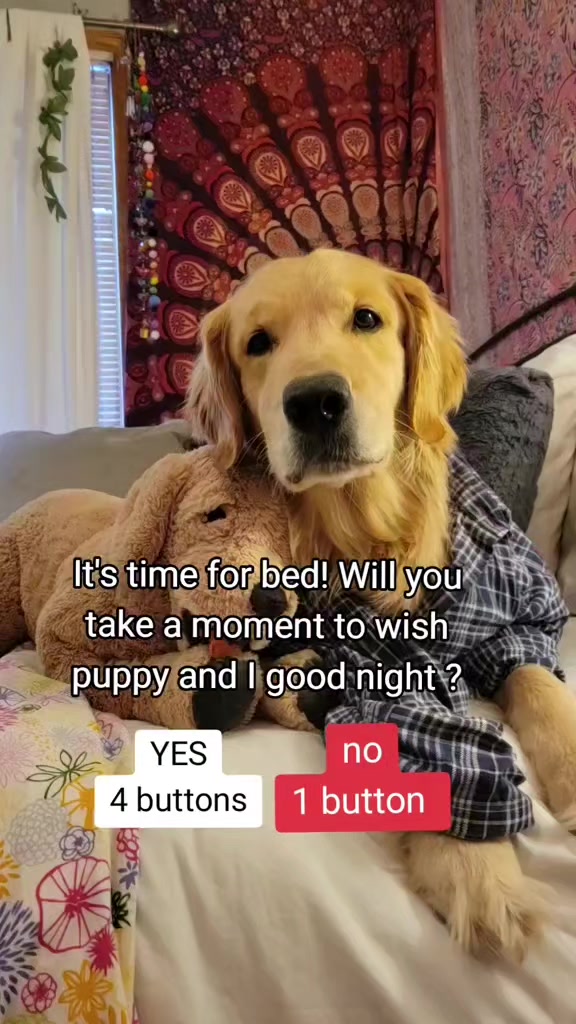 @🐶Griffin