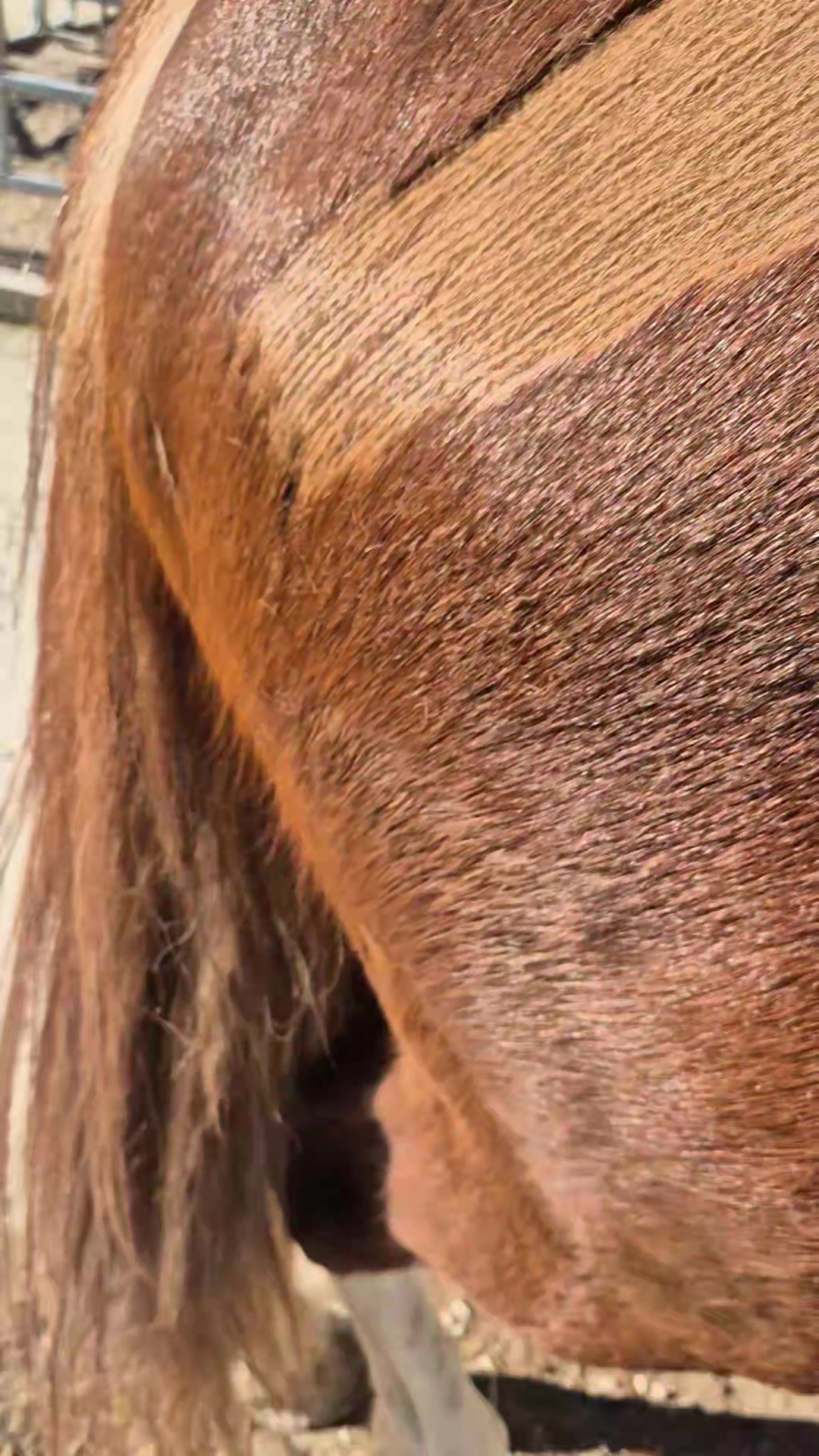 @N.H