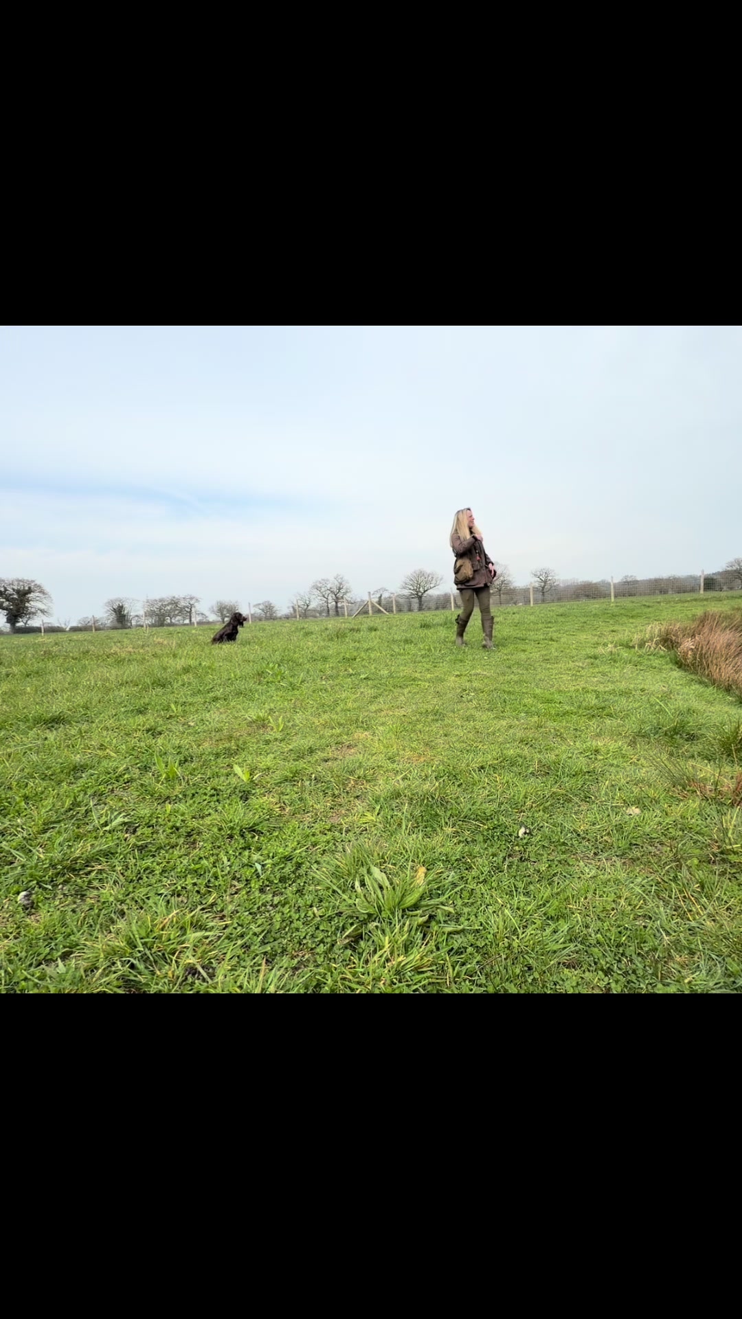 @Trails For Tails Dog Training