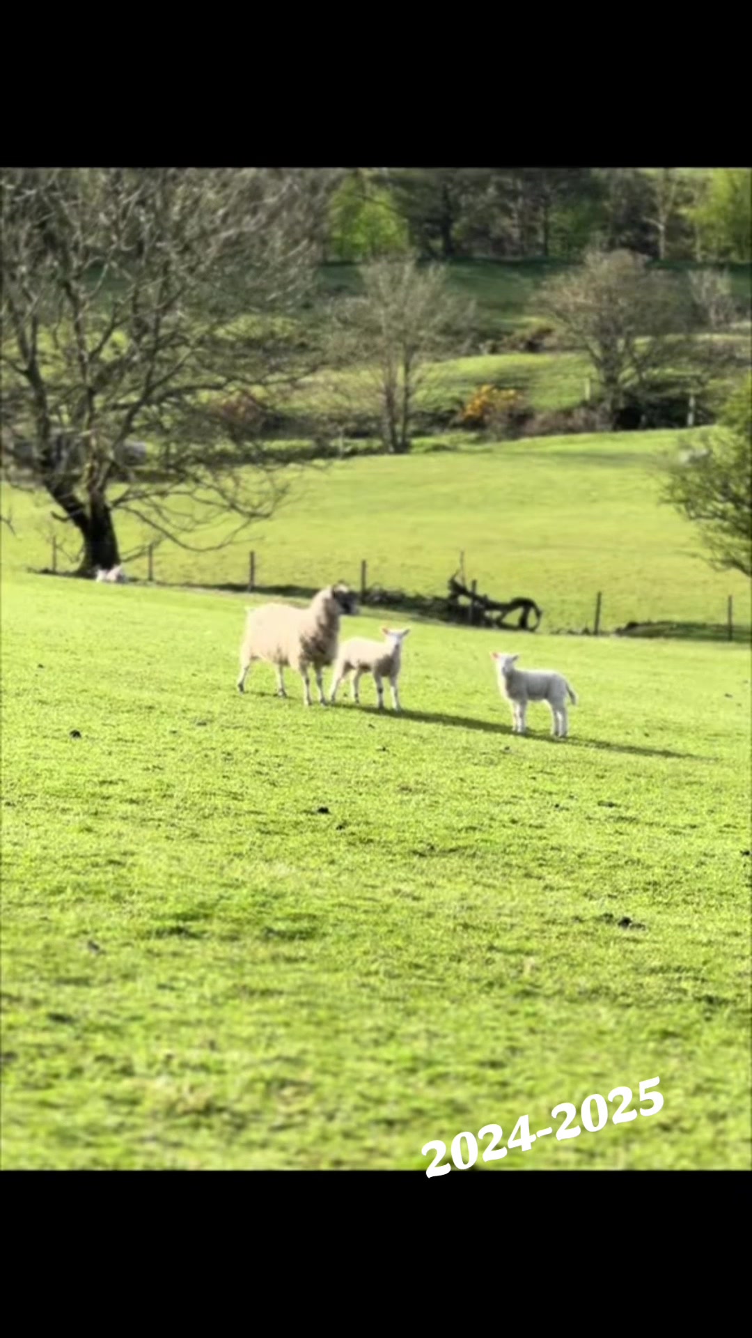 @Paula’s Farm
