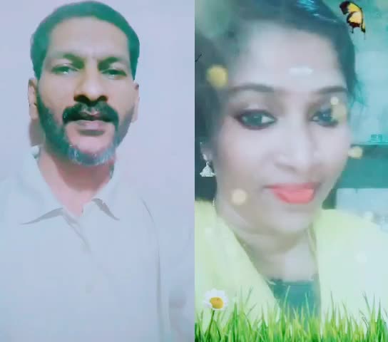 @febishazz