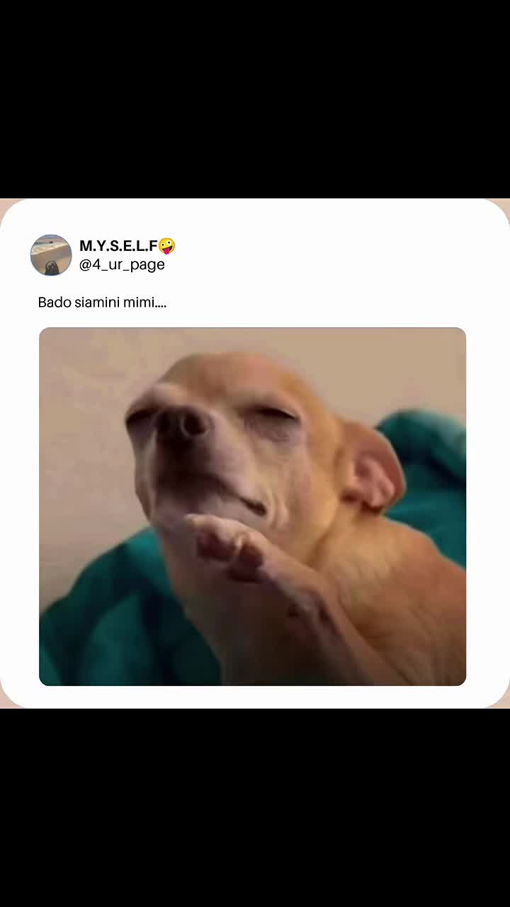@M.Y.S.E.L.F🤪