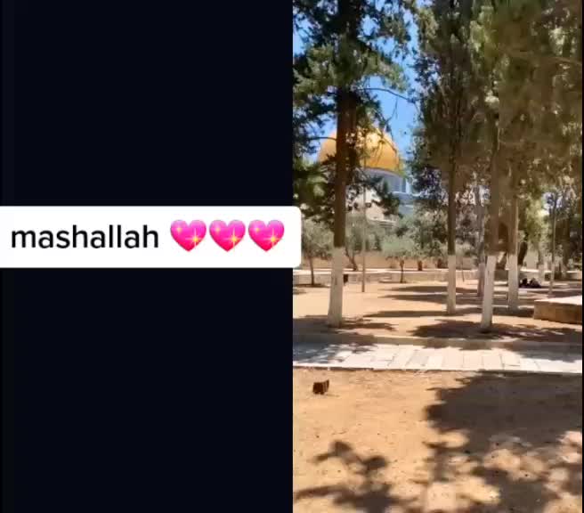 @Shaik Sajeed