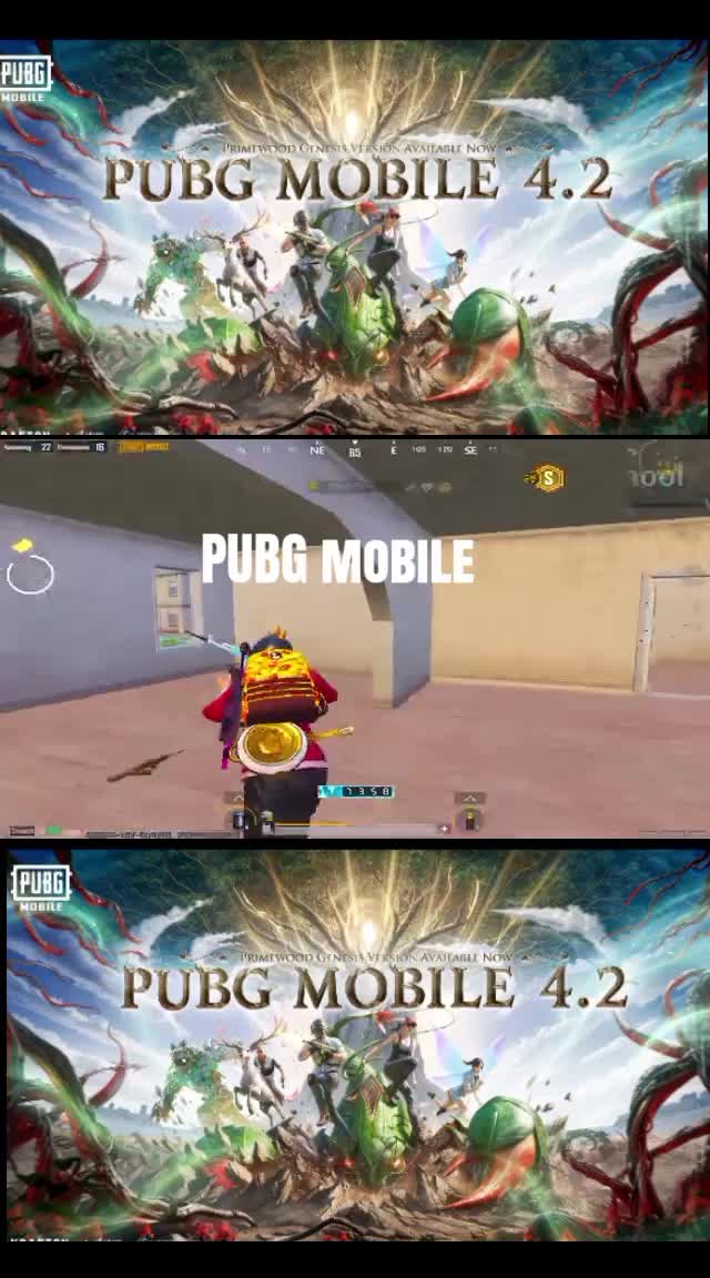 @Jungle Jokers