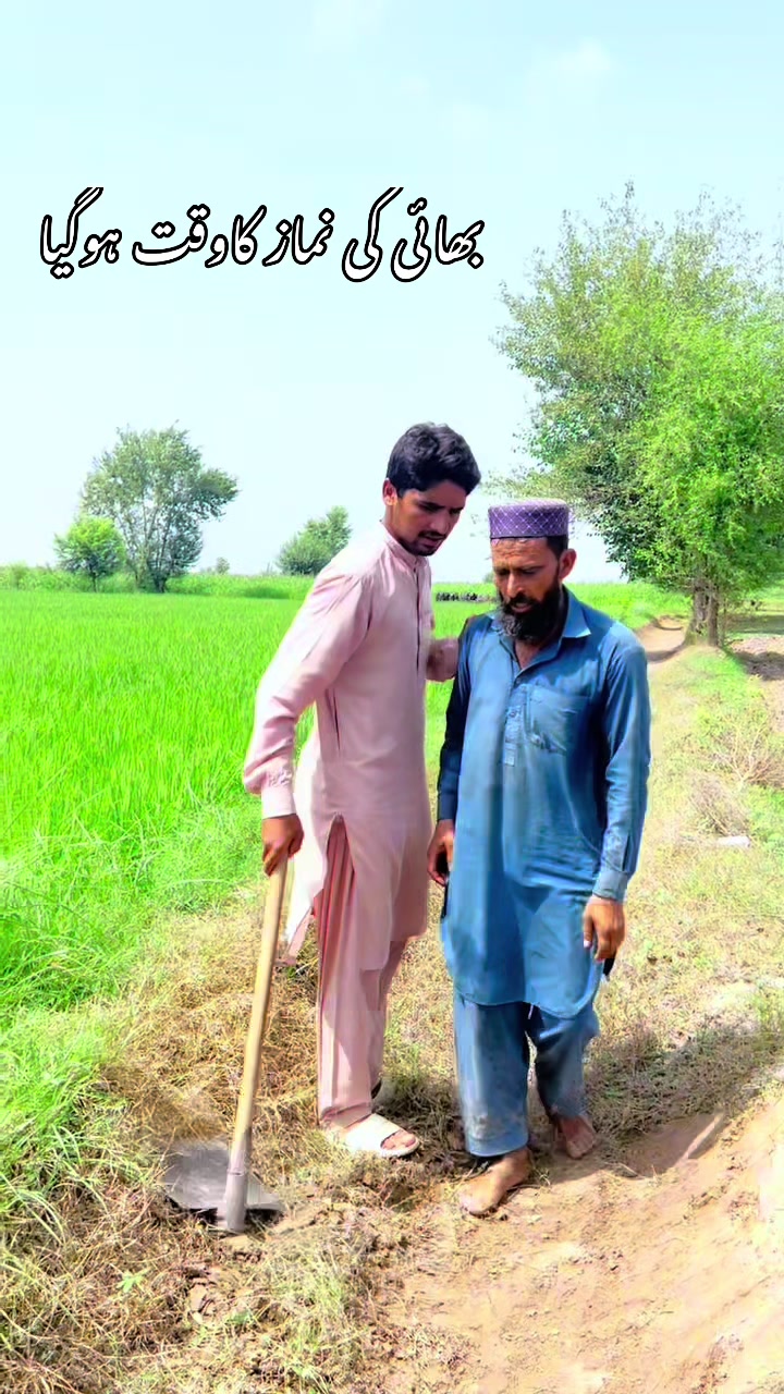 @پینڈو بوائز 378