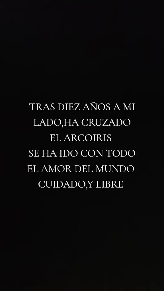 @📚hAy_uN_AmIGo_EnMi📝